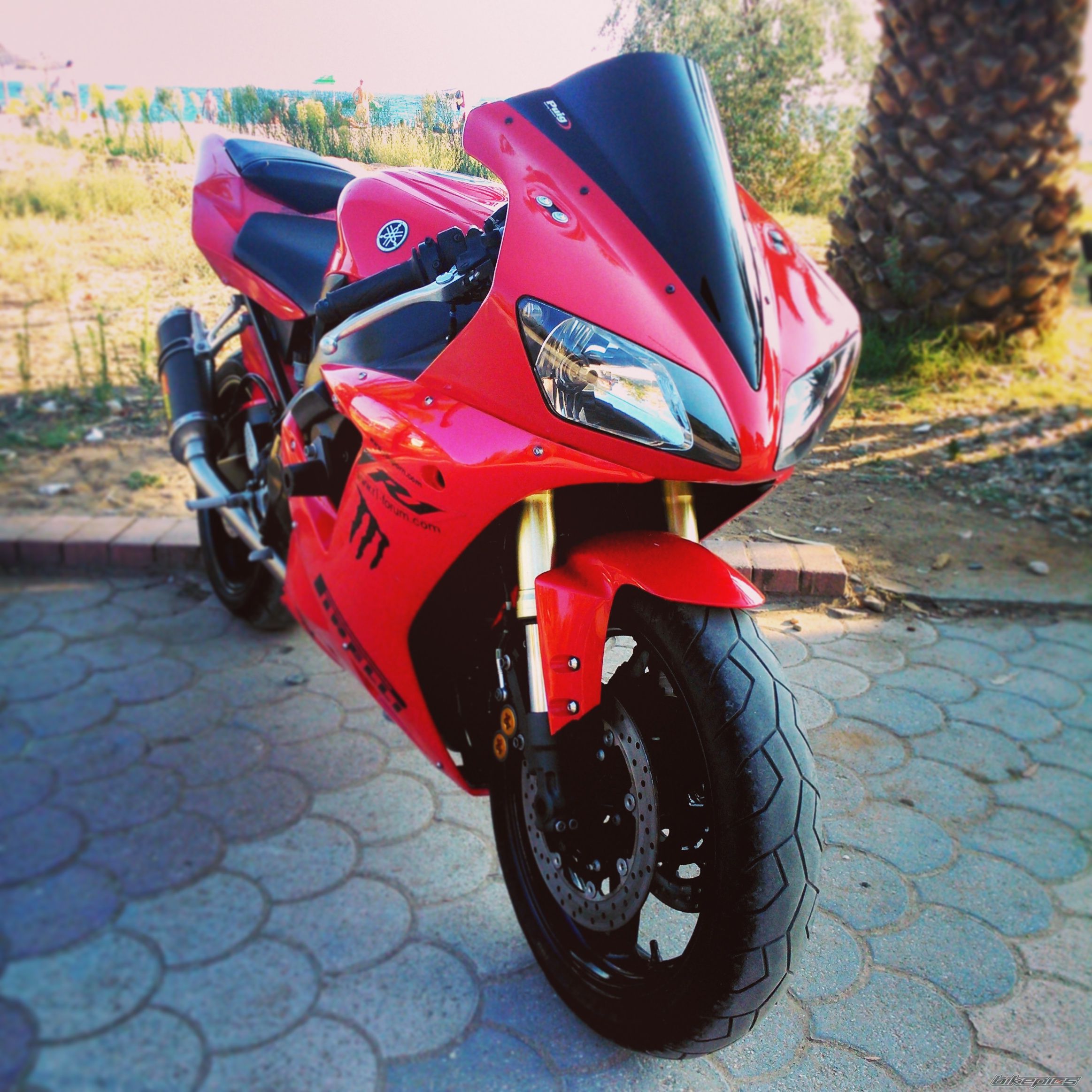 Bike Photo 2706368