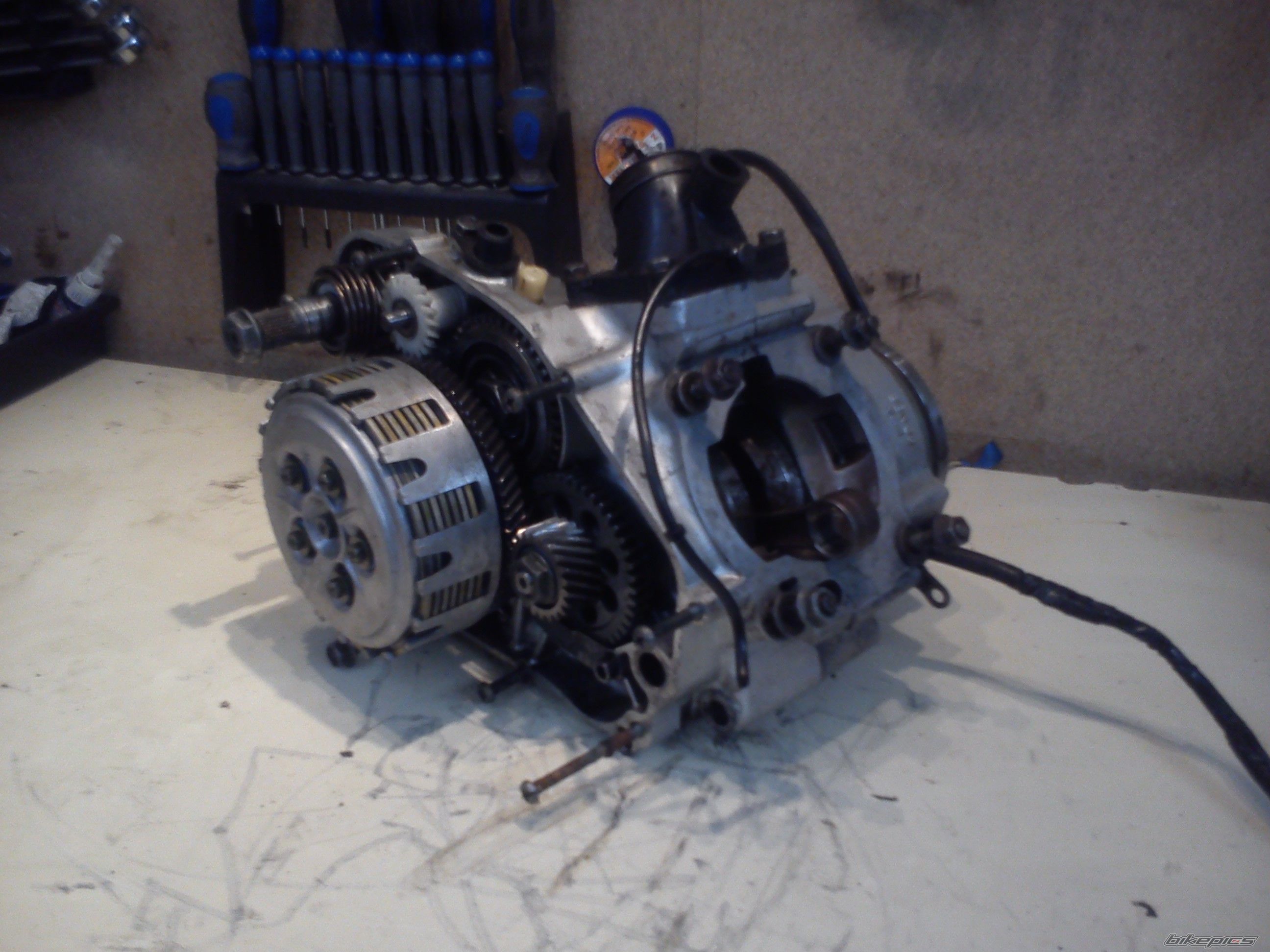 Photo 2706444