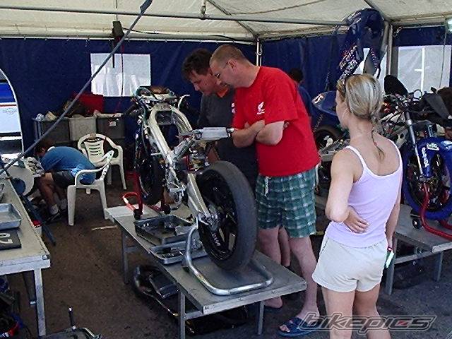 Photo 270645