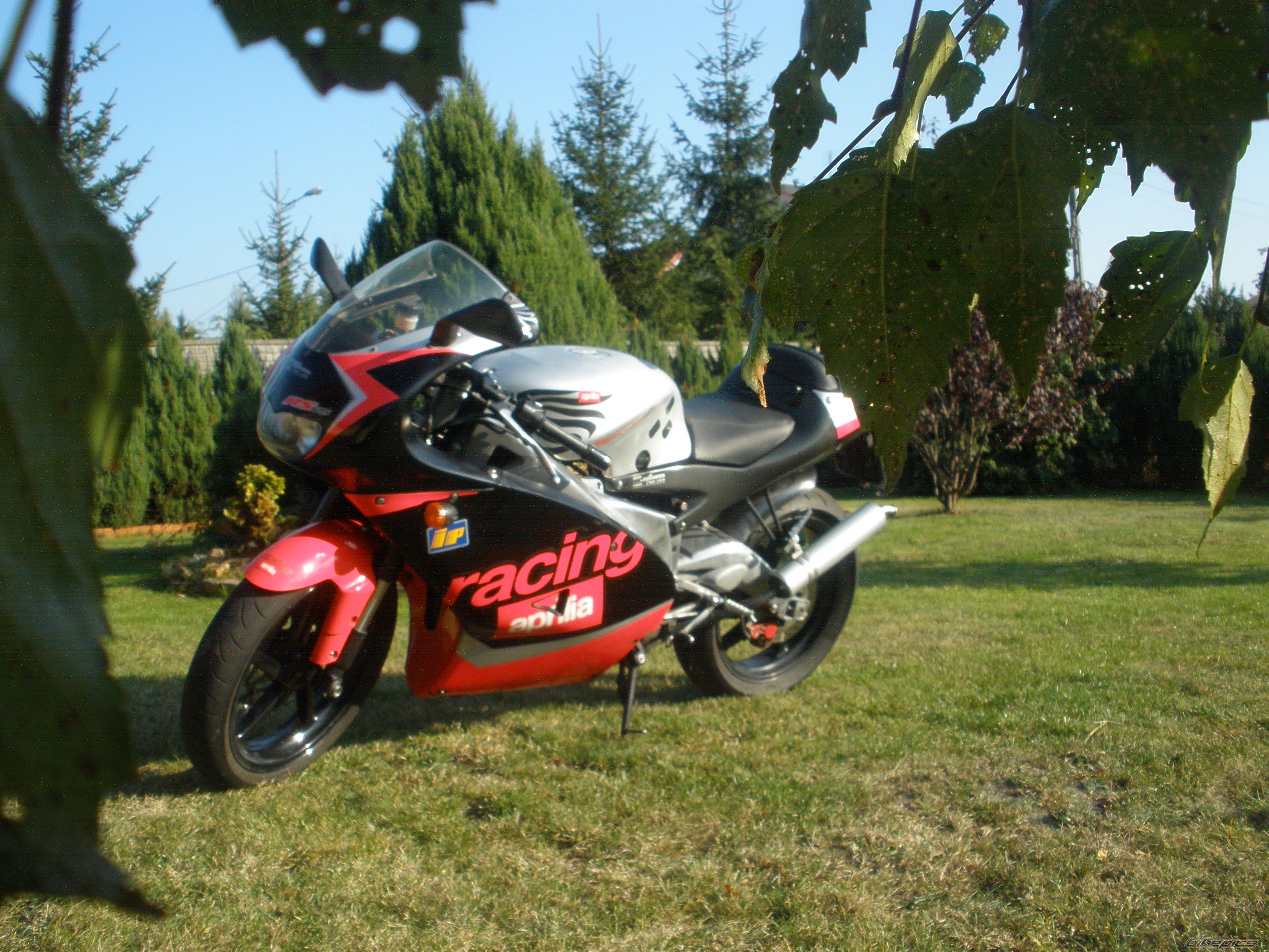 Photo 2706741