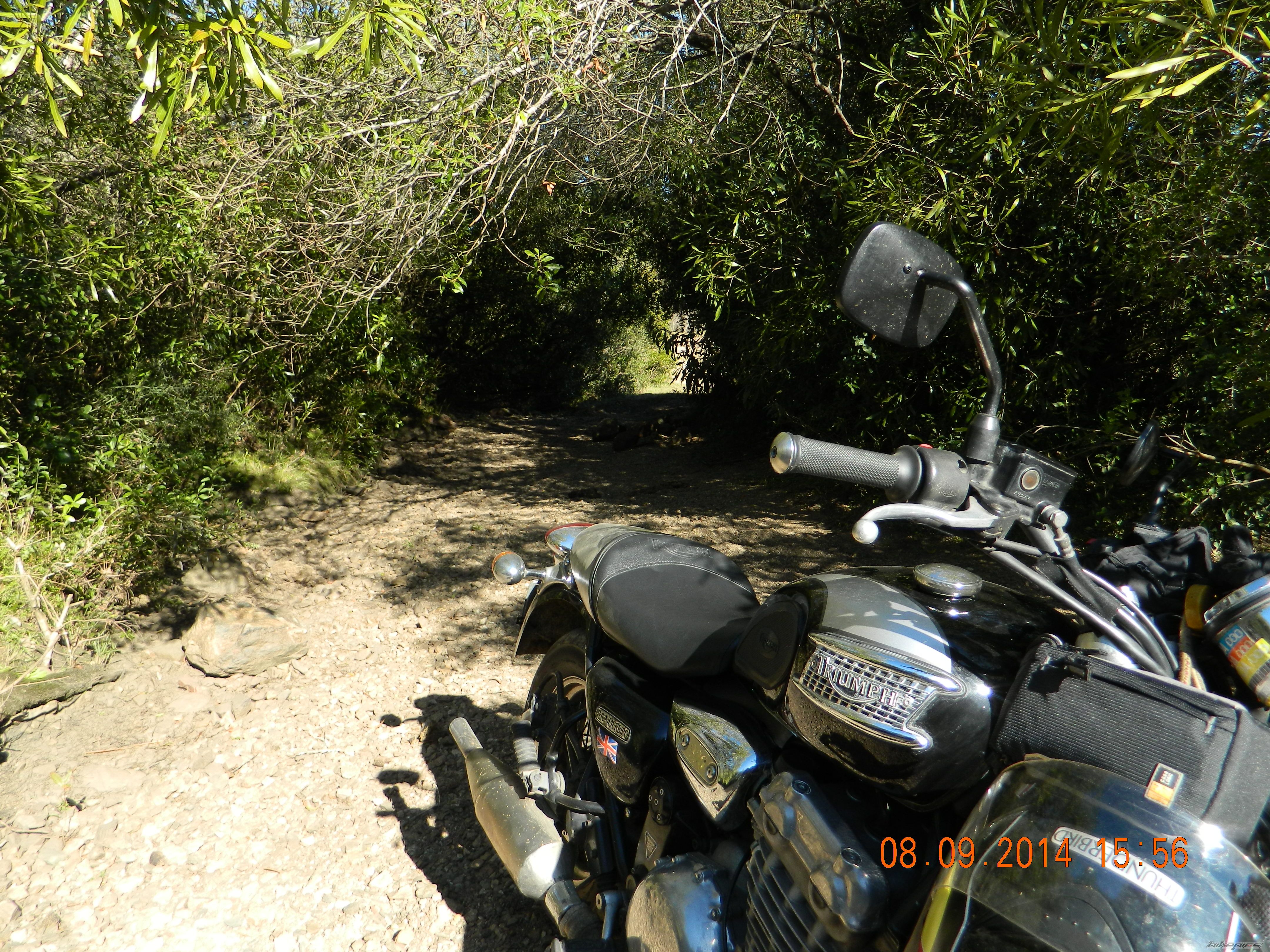 Bike Photo 2707204