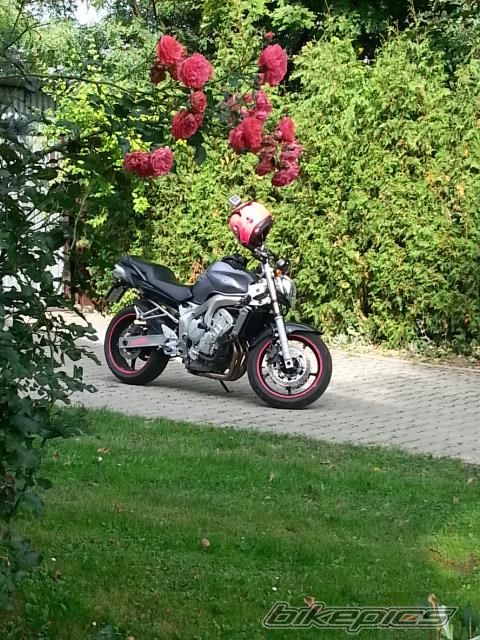 Photo 2707221