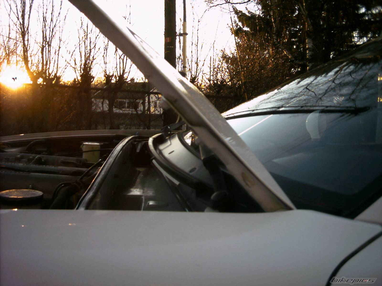 Photo 270744