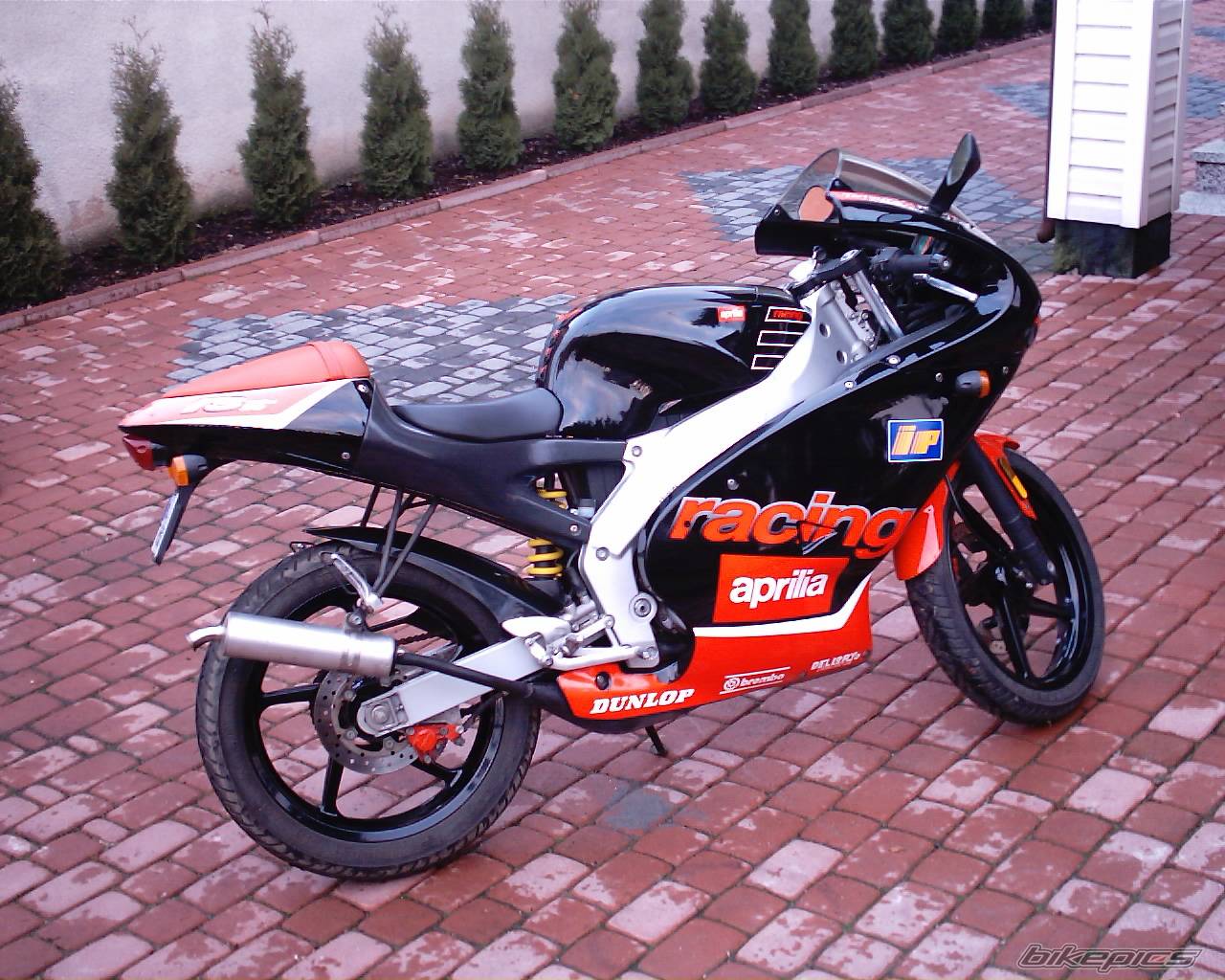 Bike Photo 270752