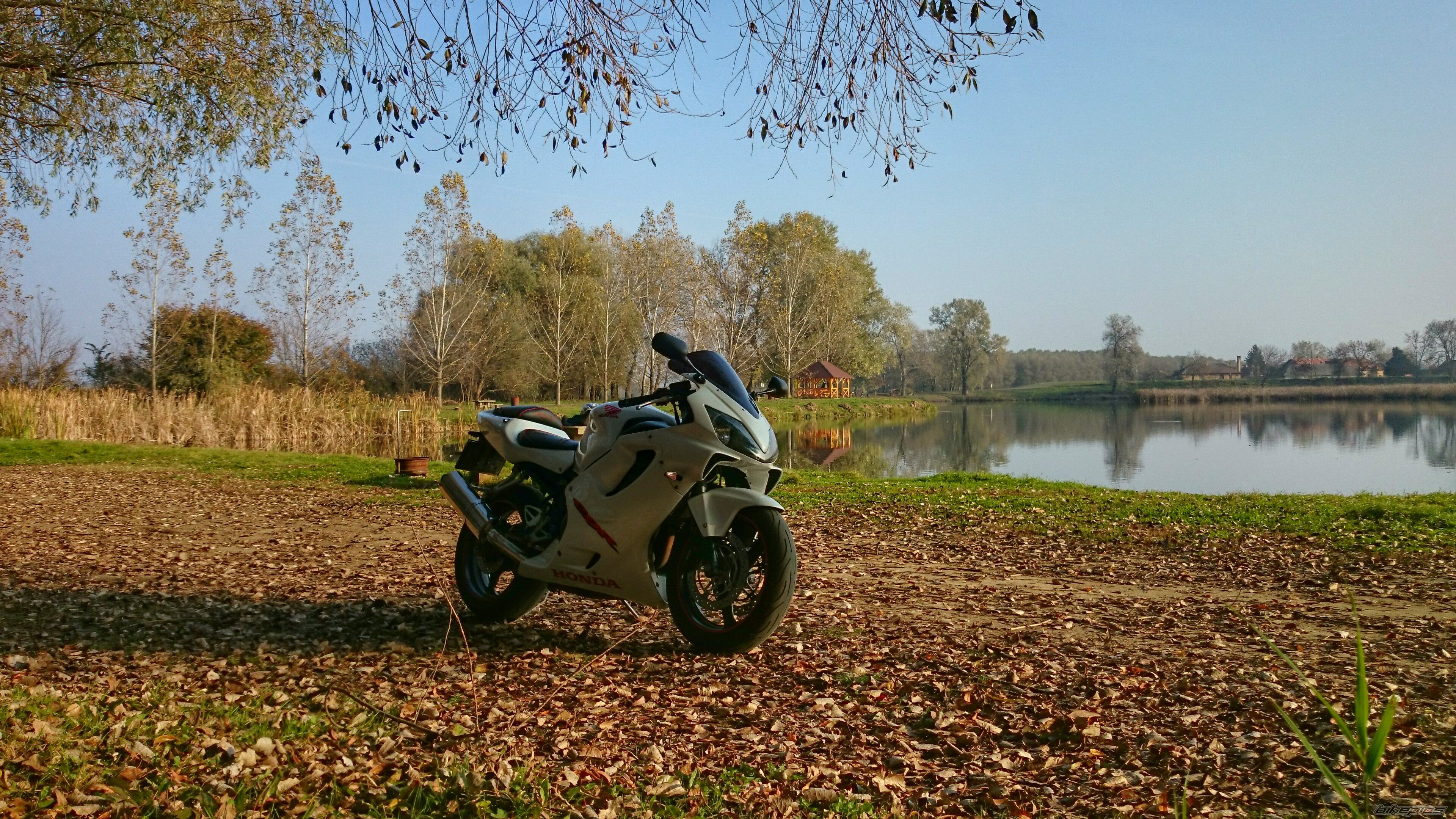 Photo 2707522