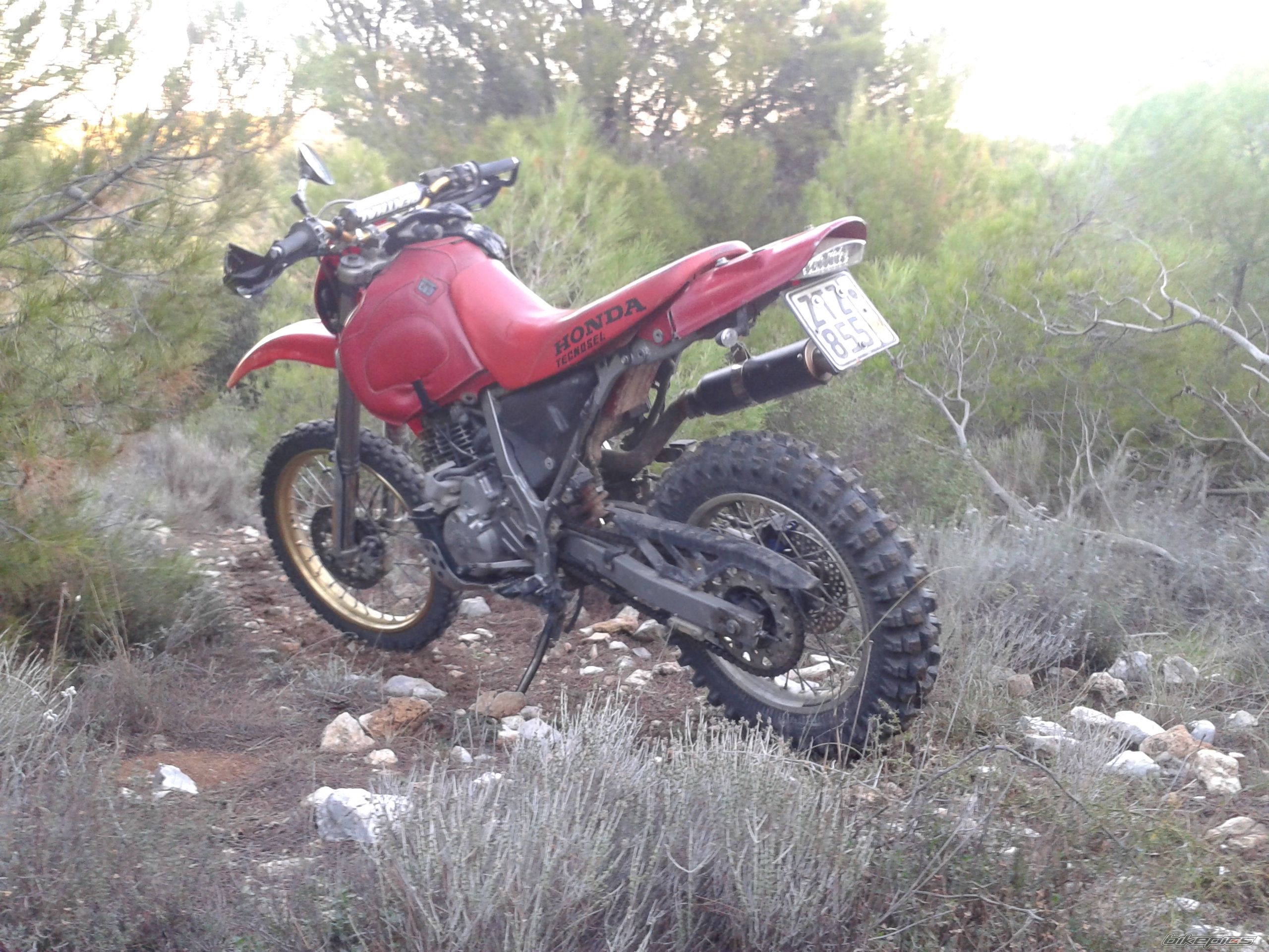 Photo 2707562