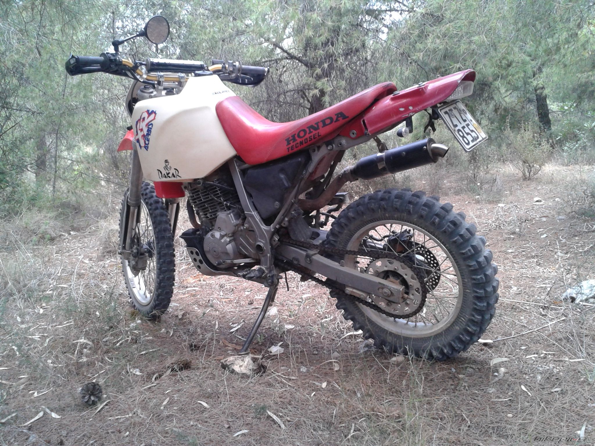 Photo 2707564