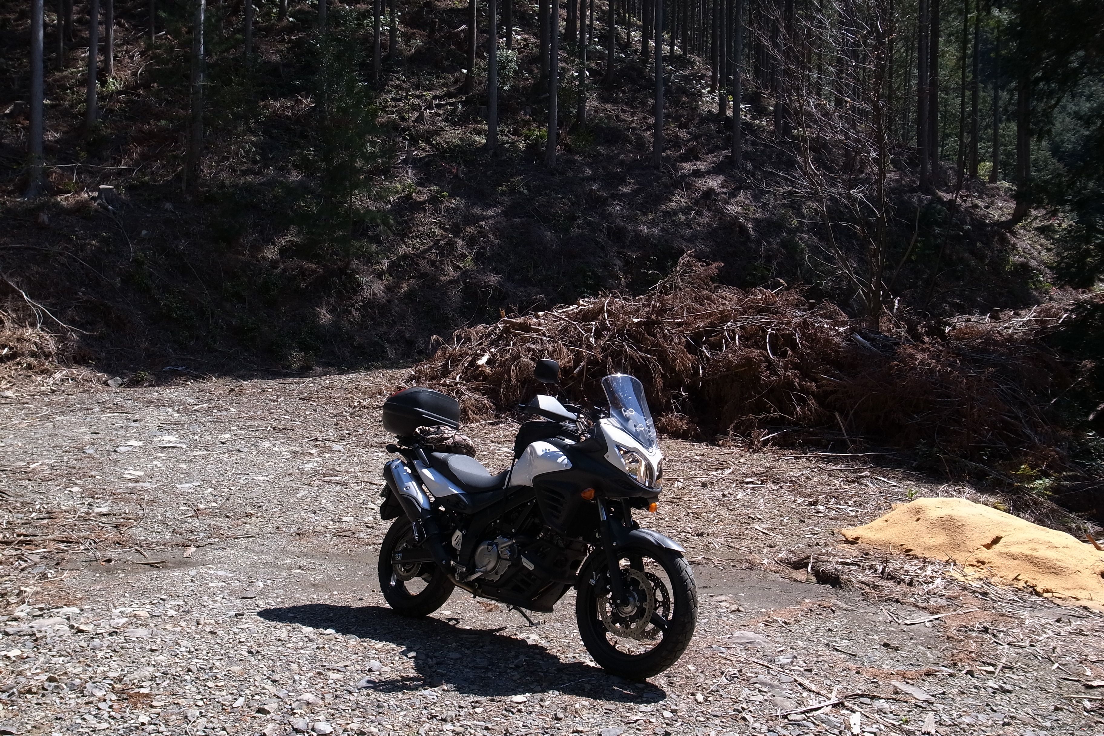 Bike Photo 2707568