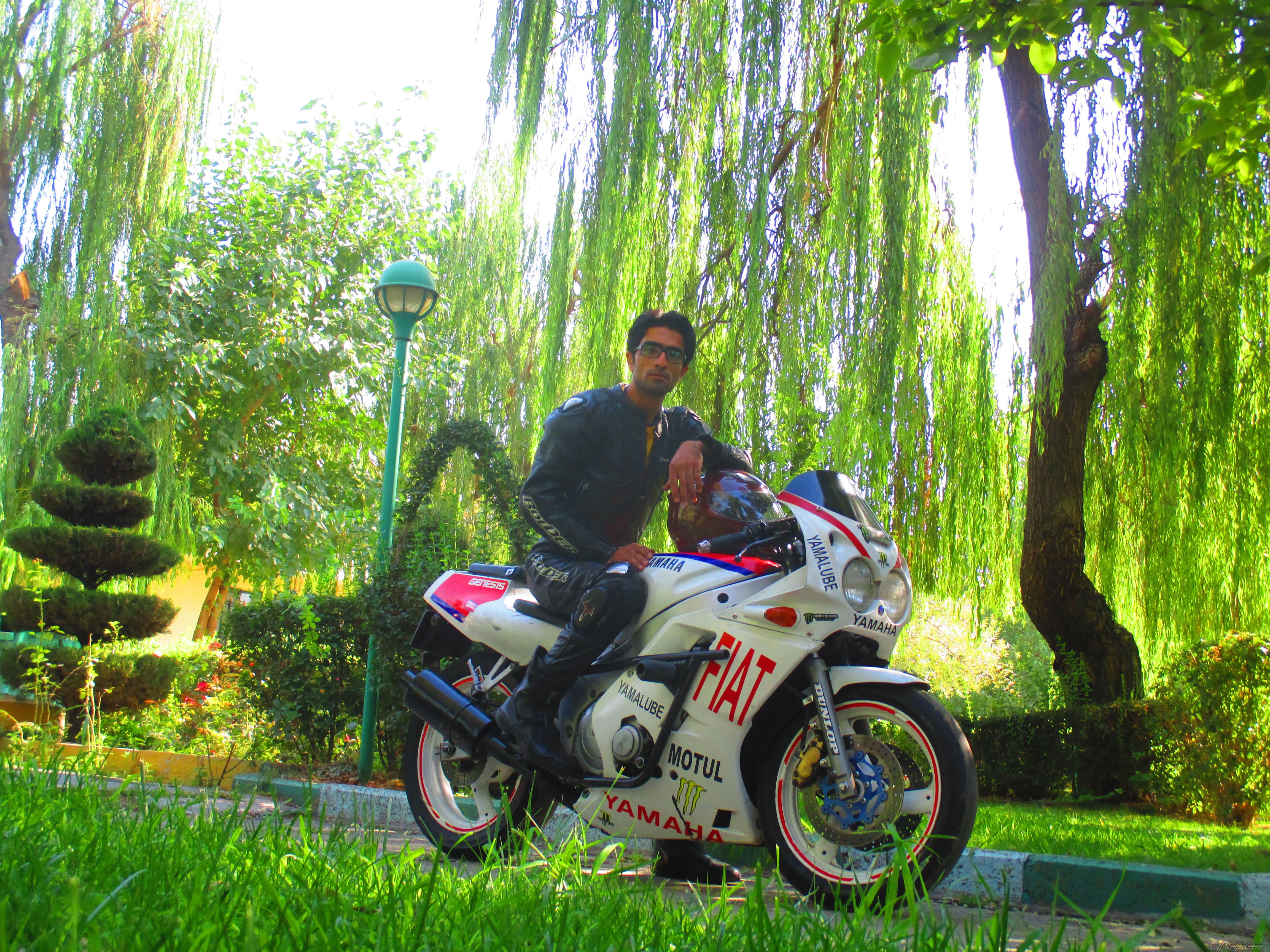 Photo 2707583