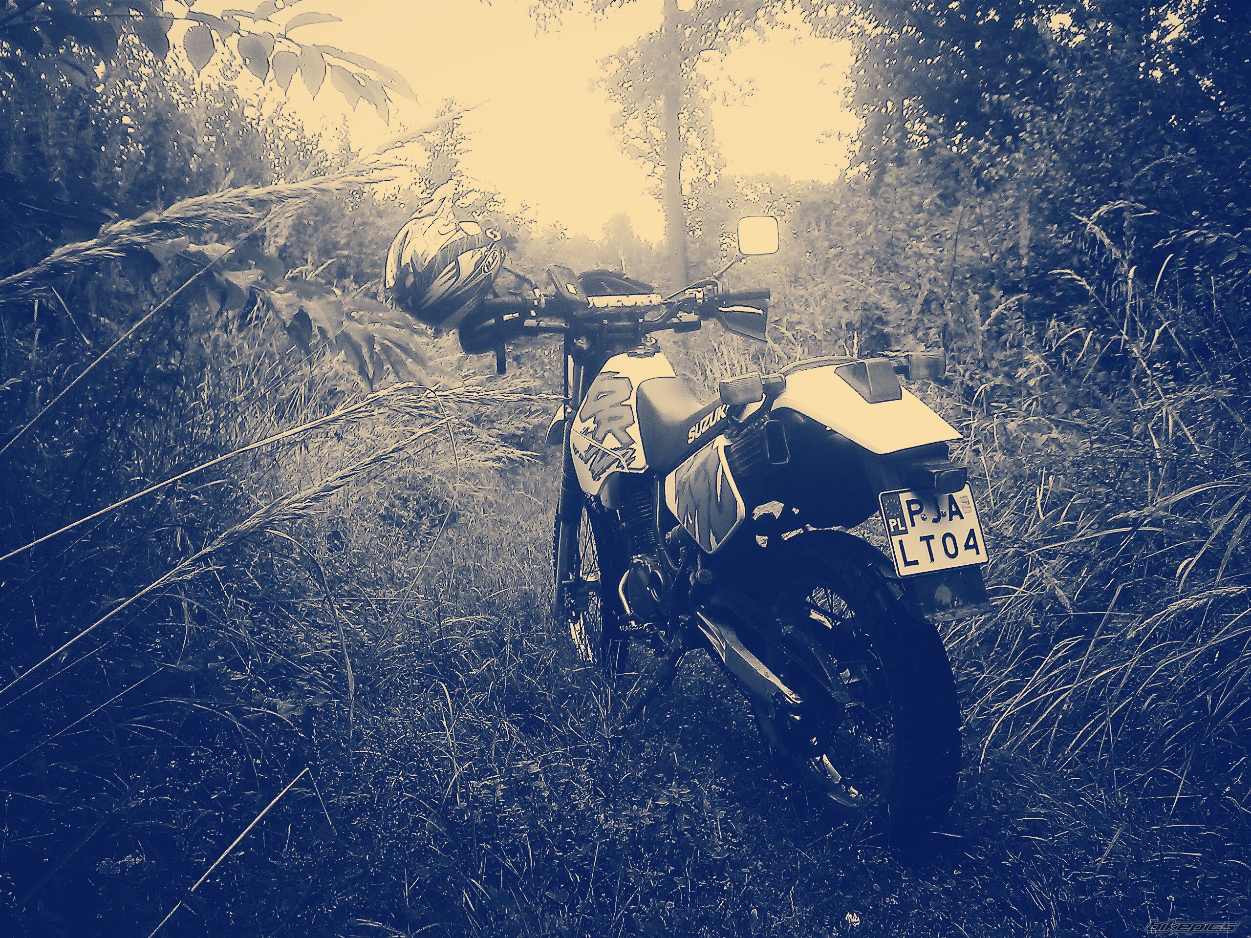 Photo 2707639