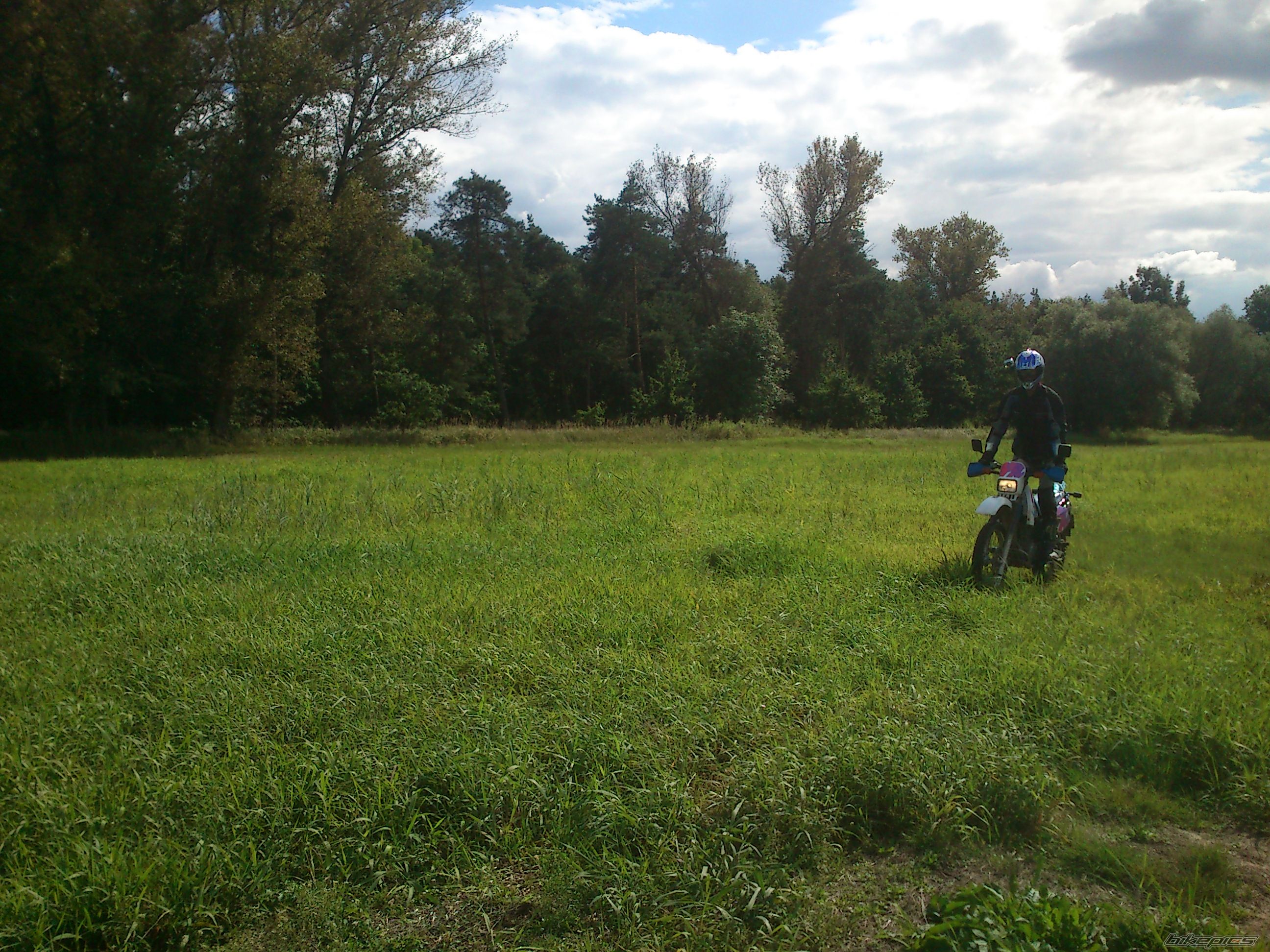 Photo 2707646