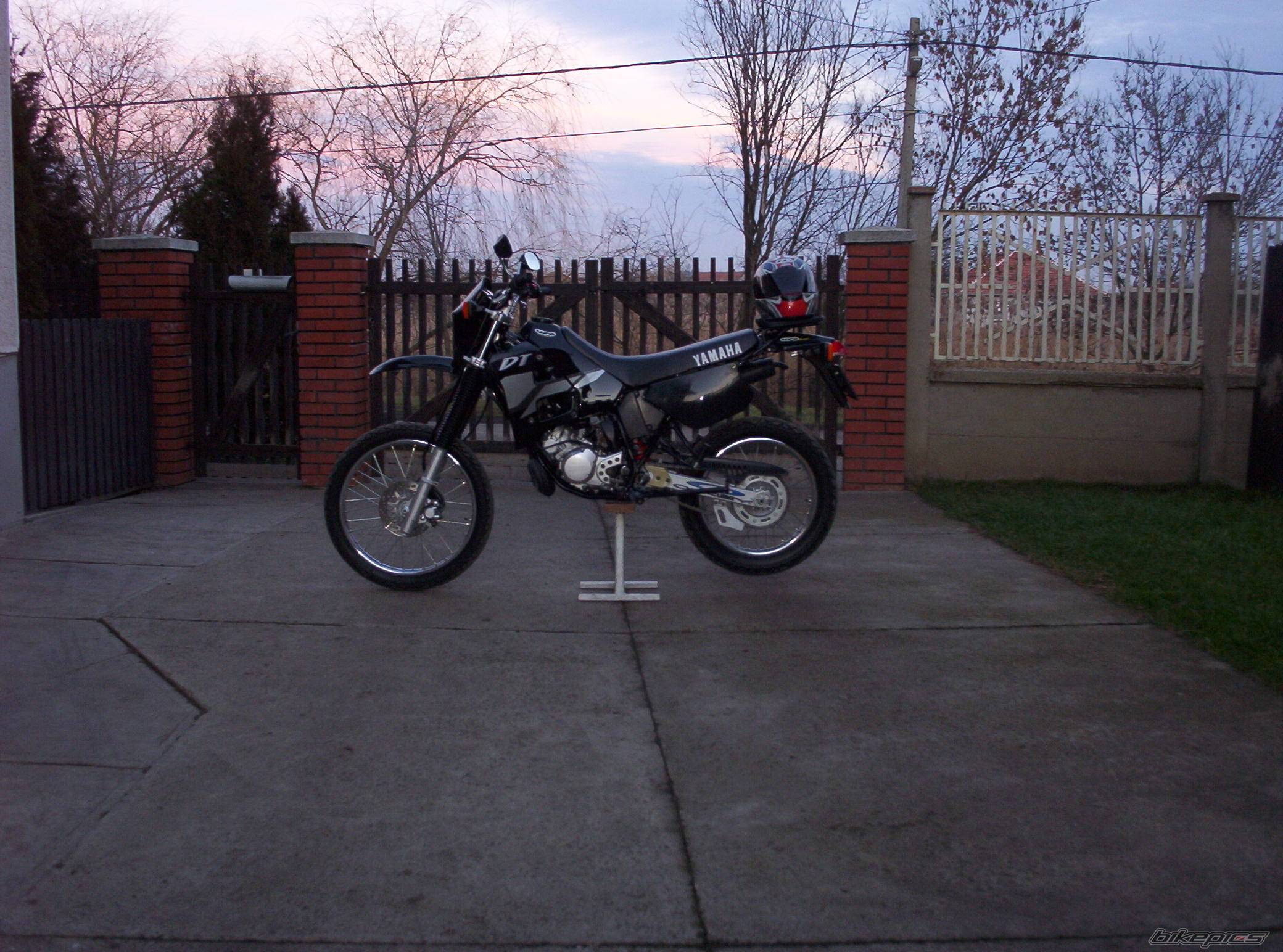 Photo 270786