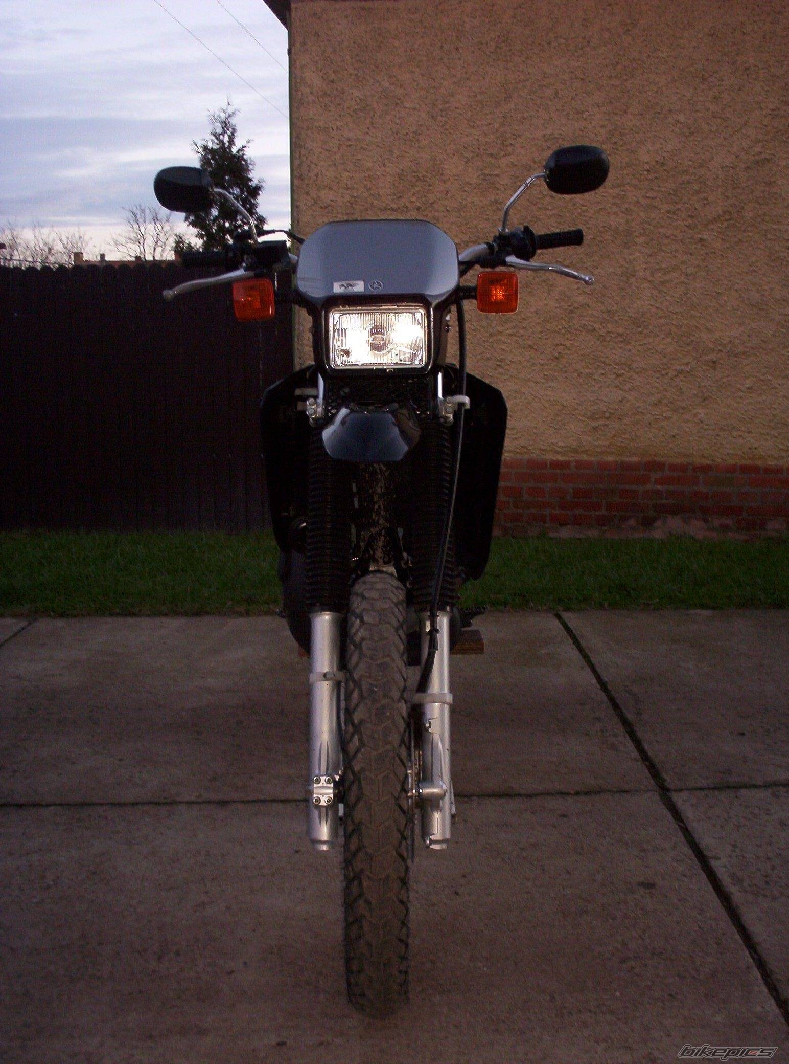 Photo 270788