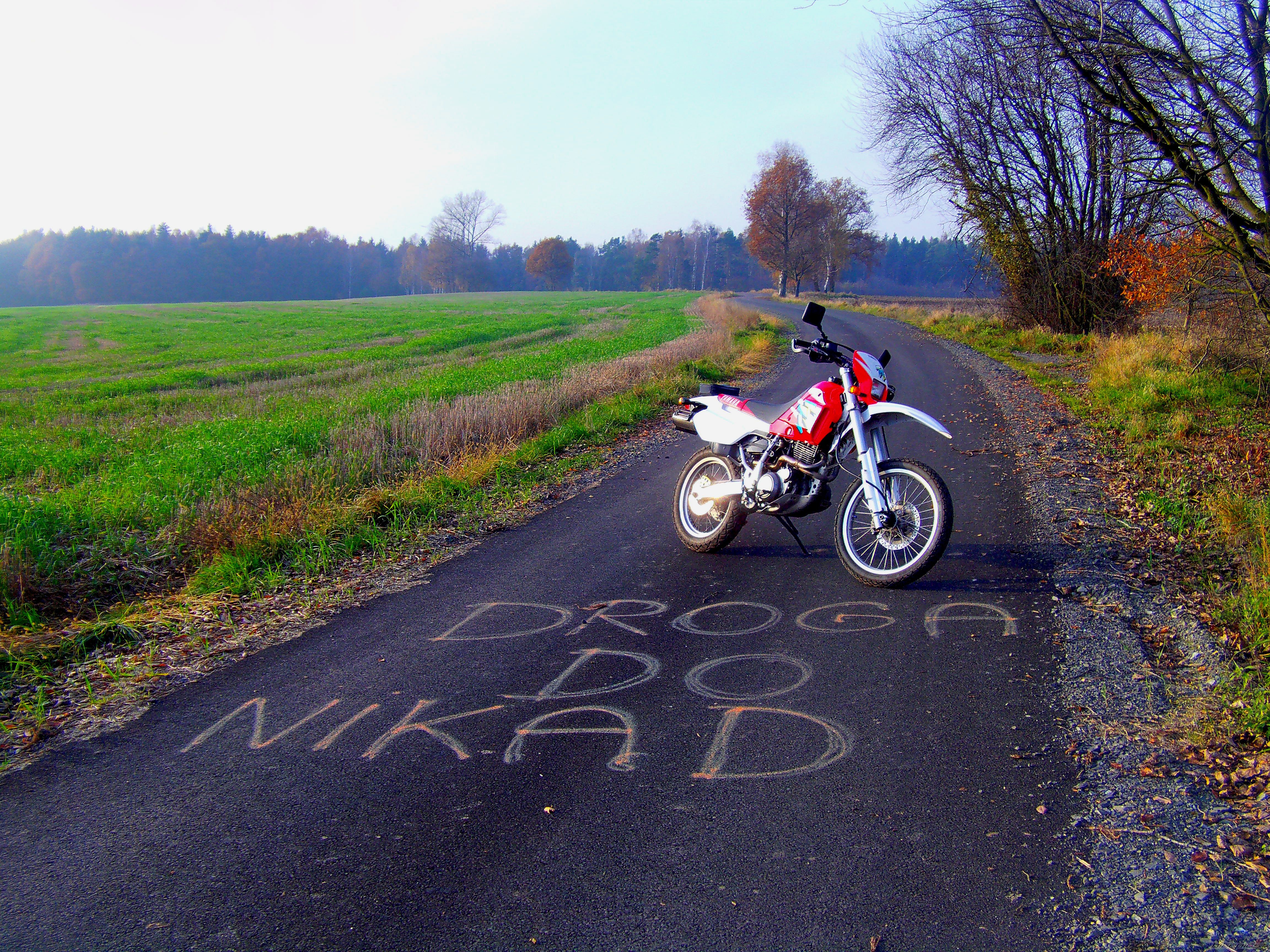 Bike Photo 2707950