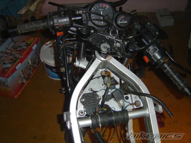 Photo 270819