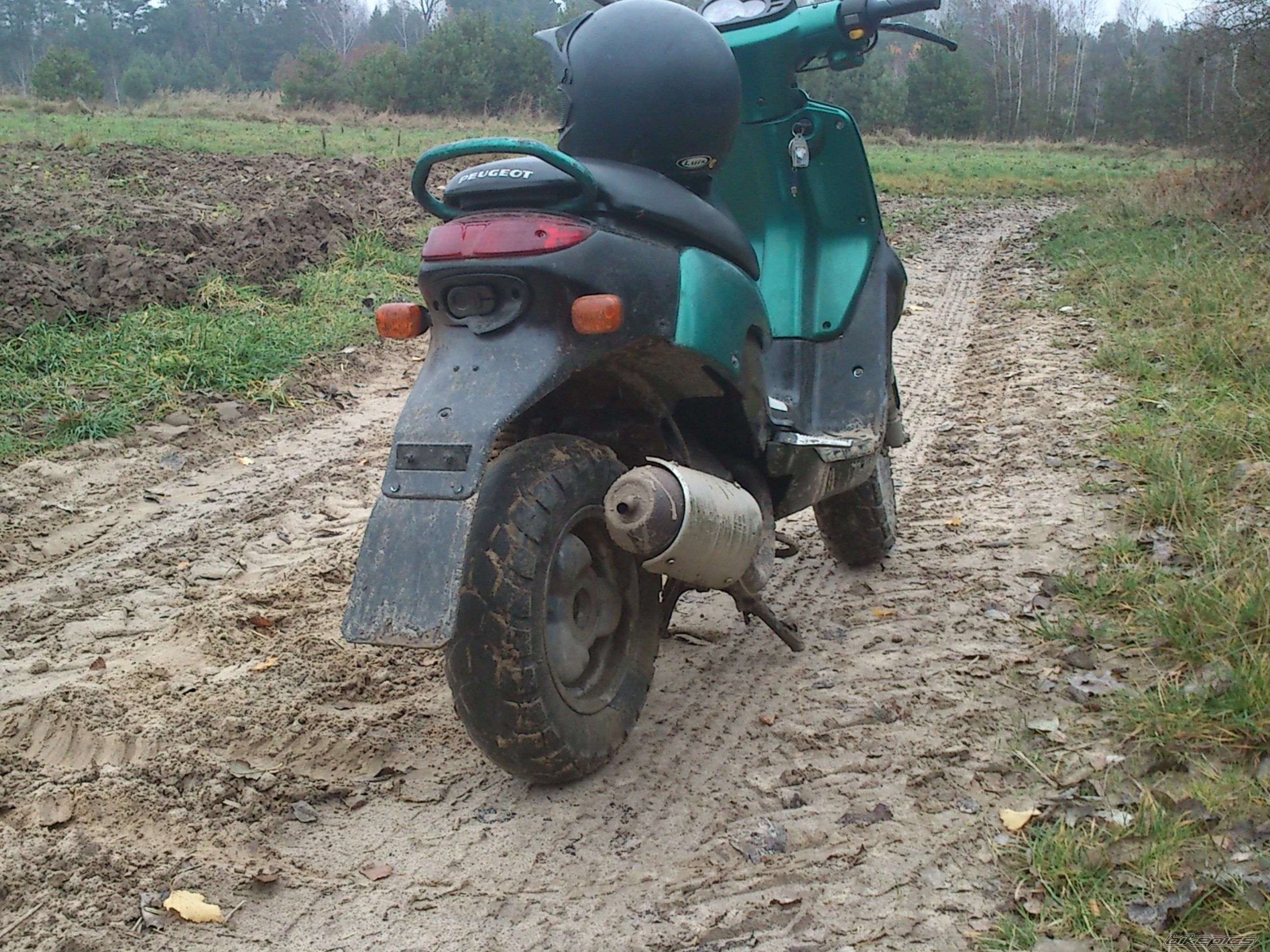 Photo 2708256