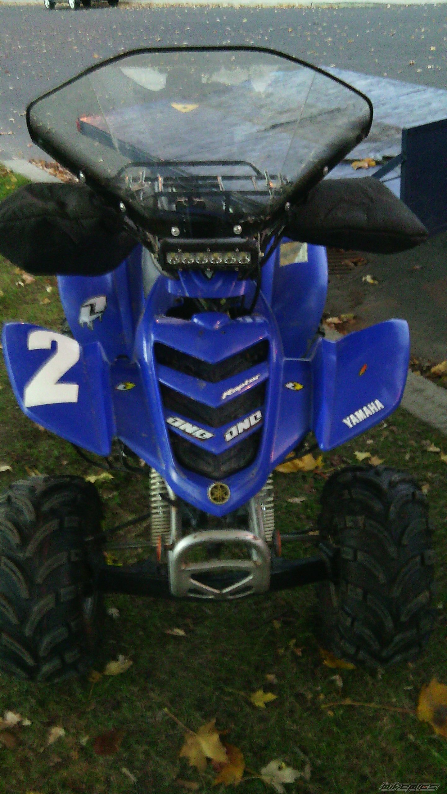 Raptor YFM 80