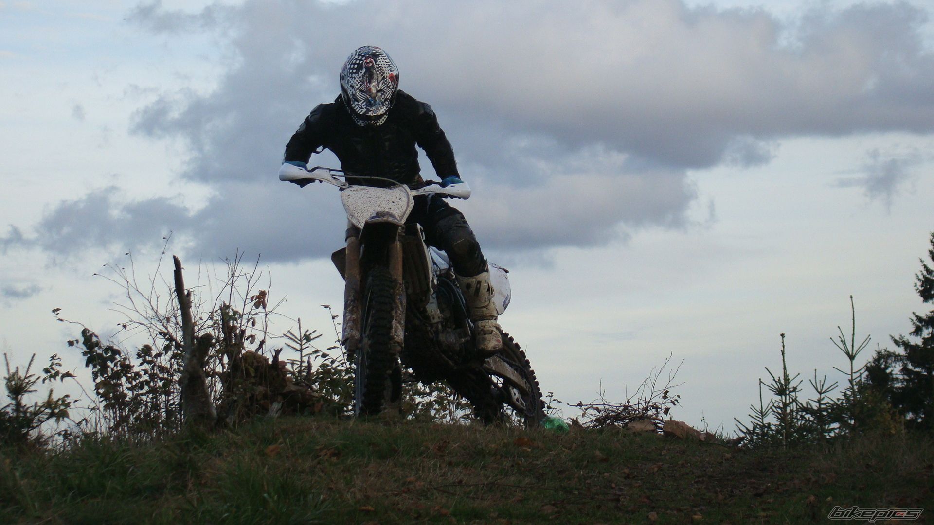 Photo 2708531