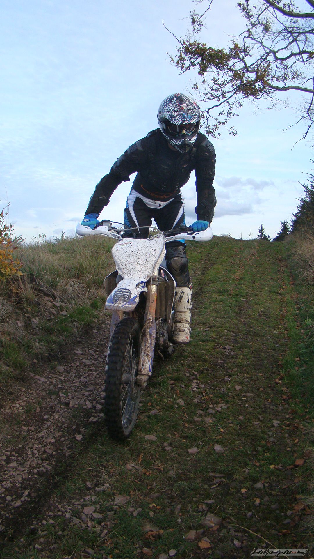 Photo 2708534