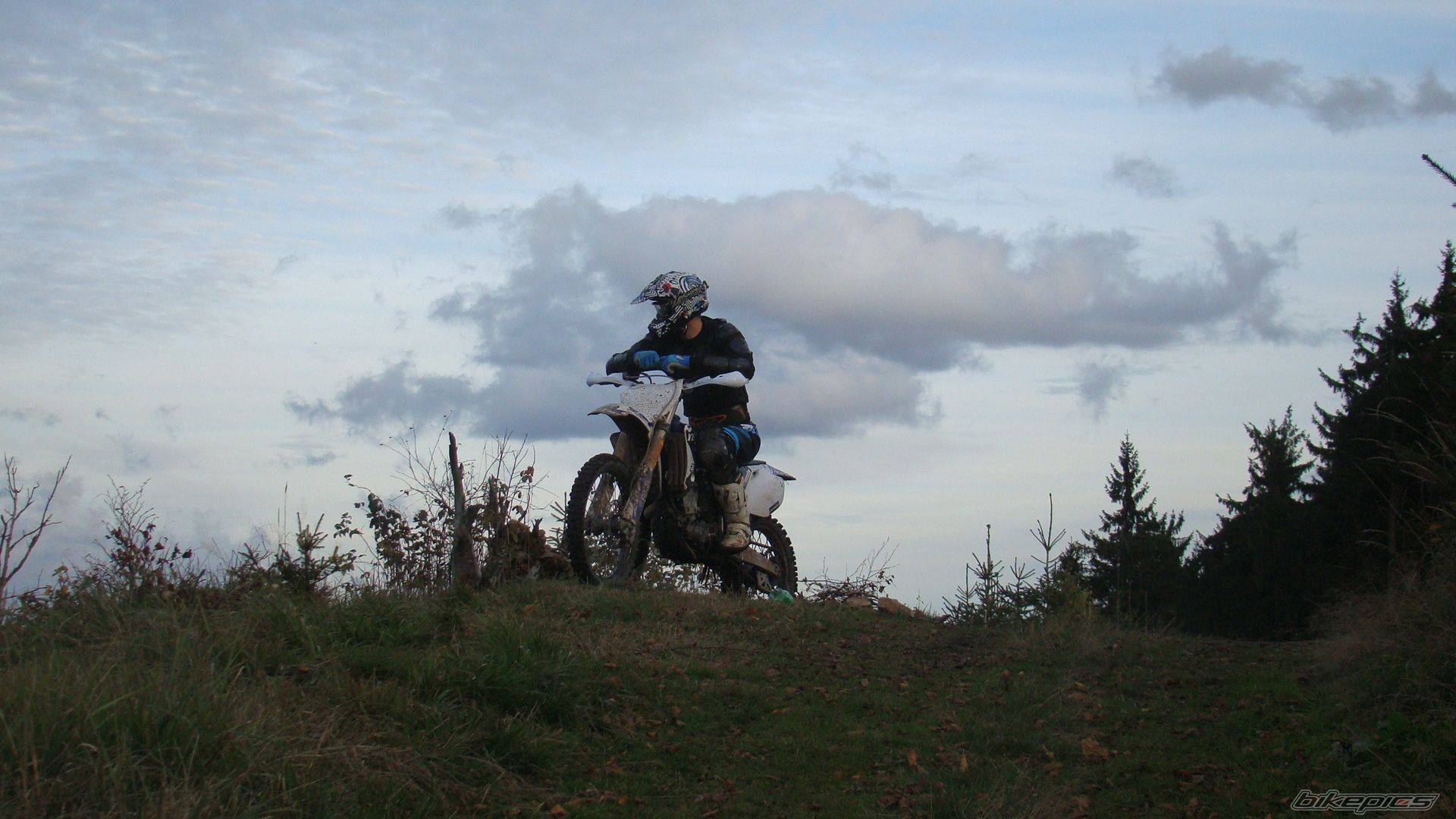 Photo 2708546