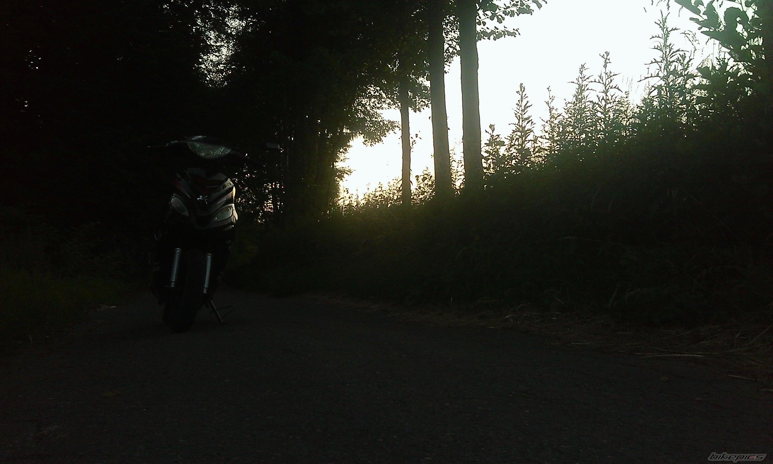 Photo 2708581