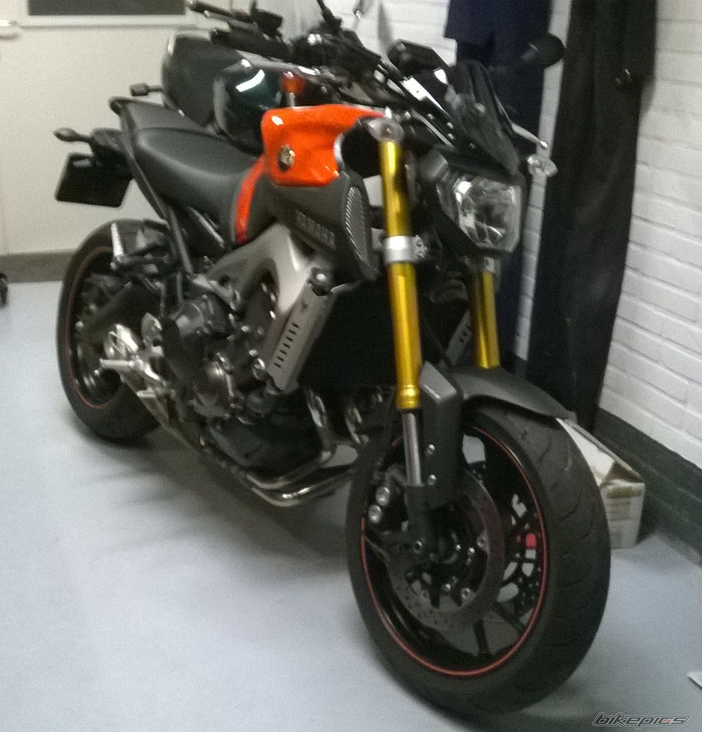 Photo 2708585