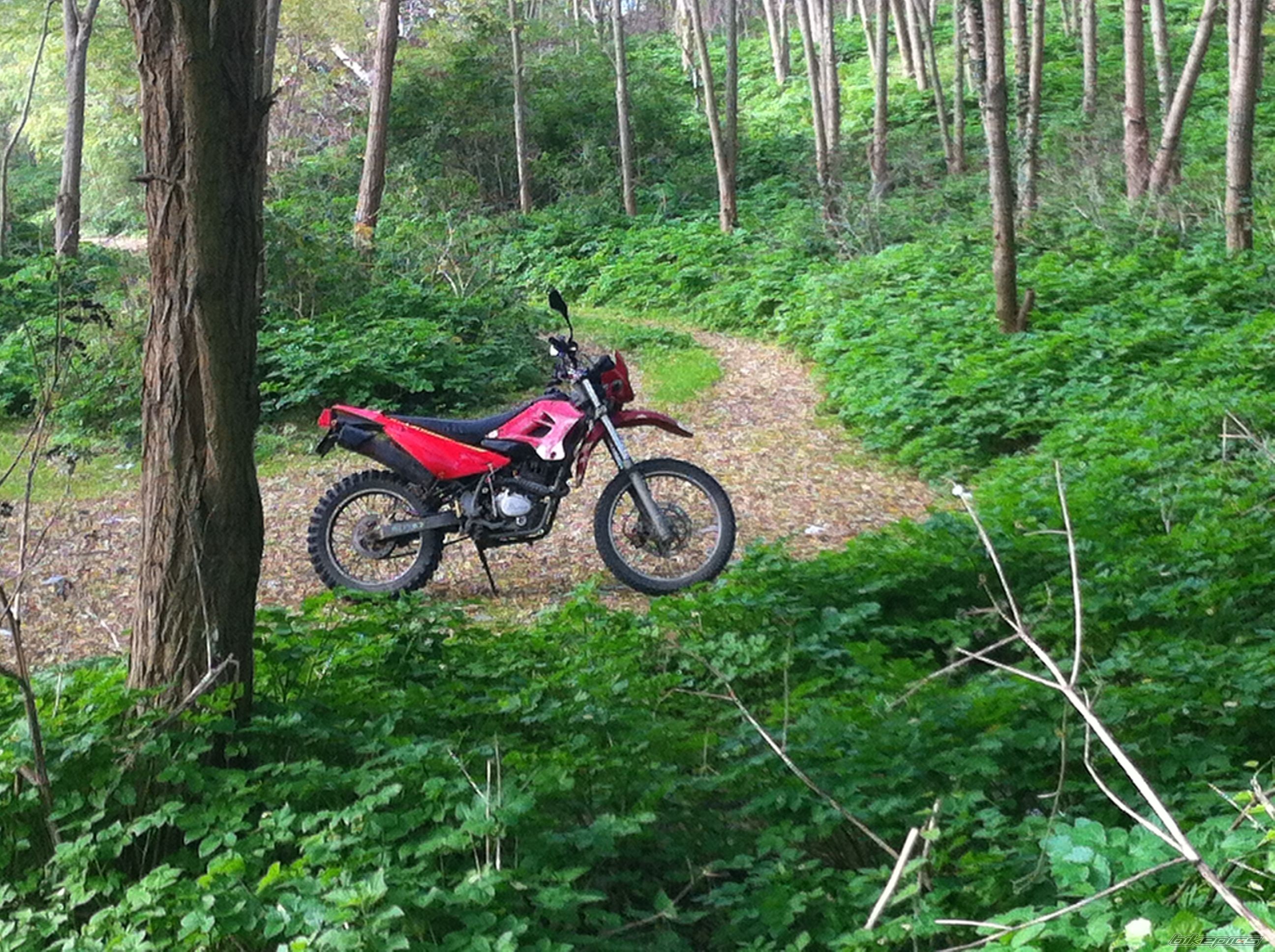 Bike Photo 2708661