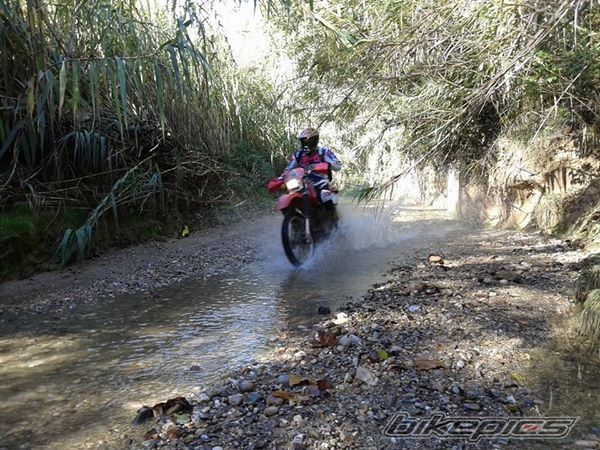 Photo 2708694