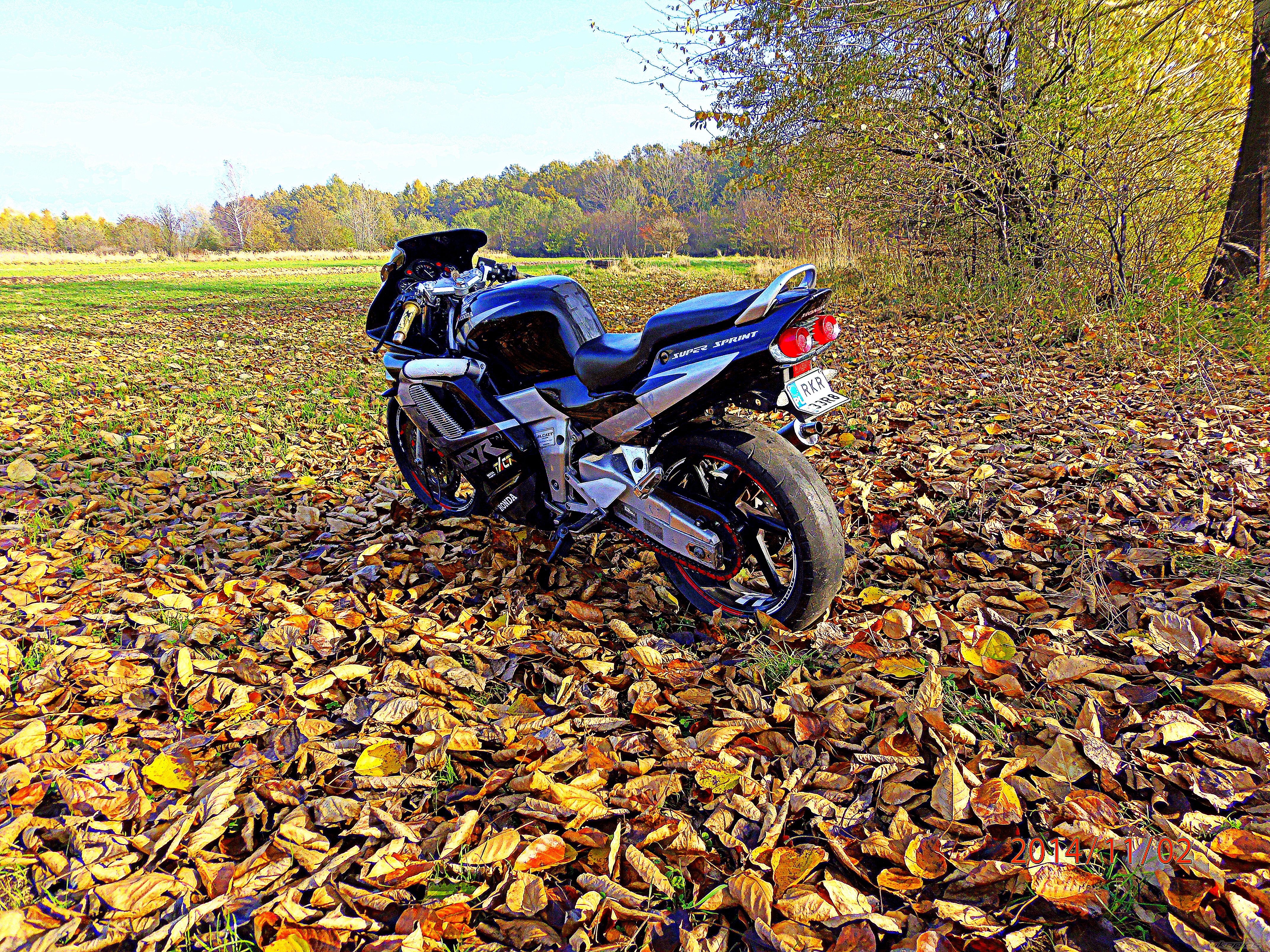 Photo 2708798