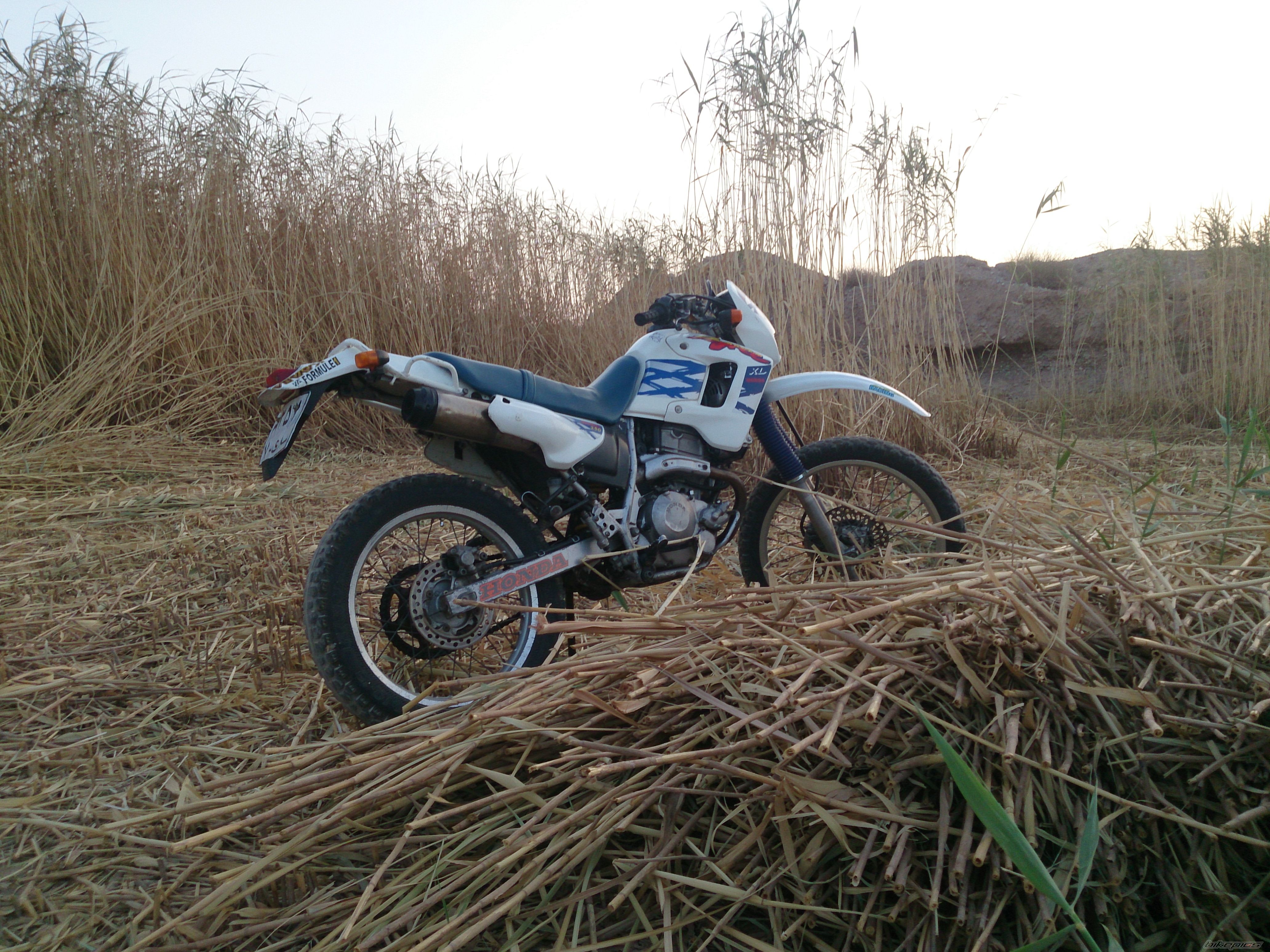 Photo 2708799
