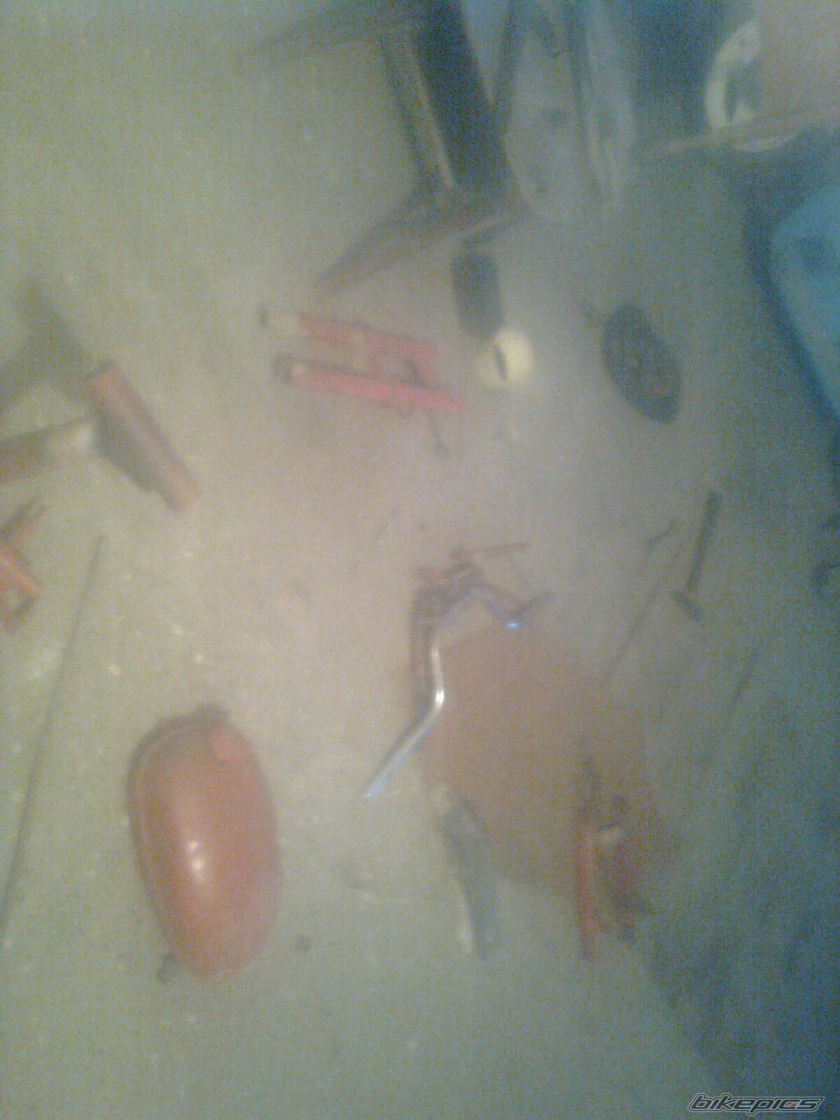 Photo 2708880