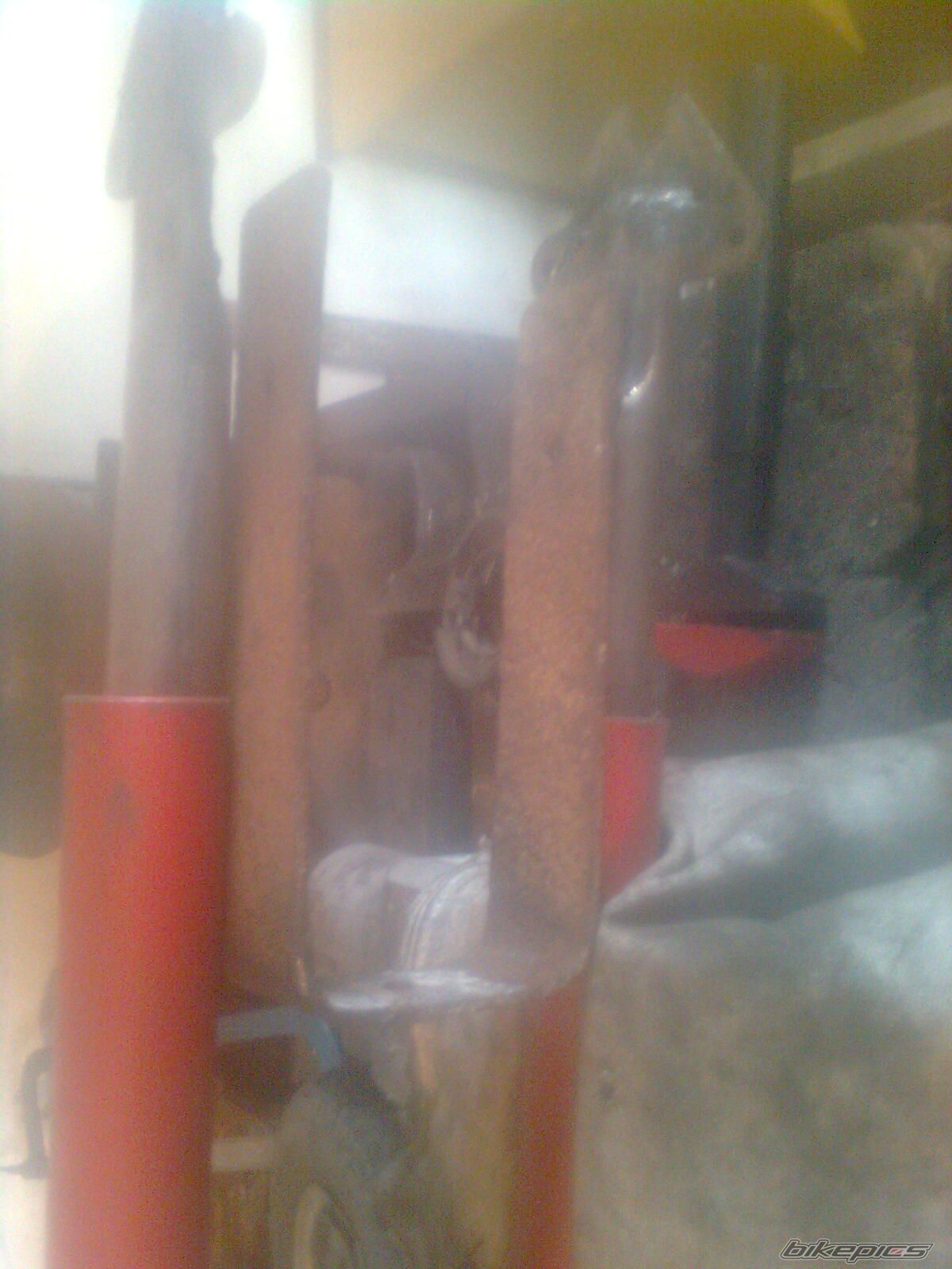 Photo 2708887