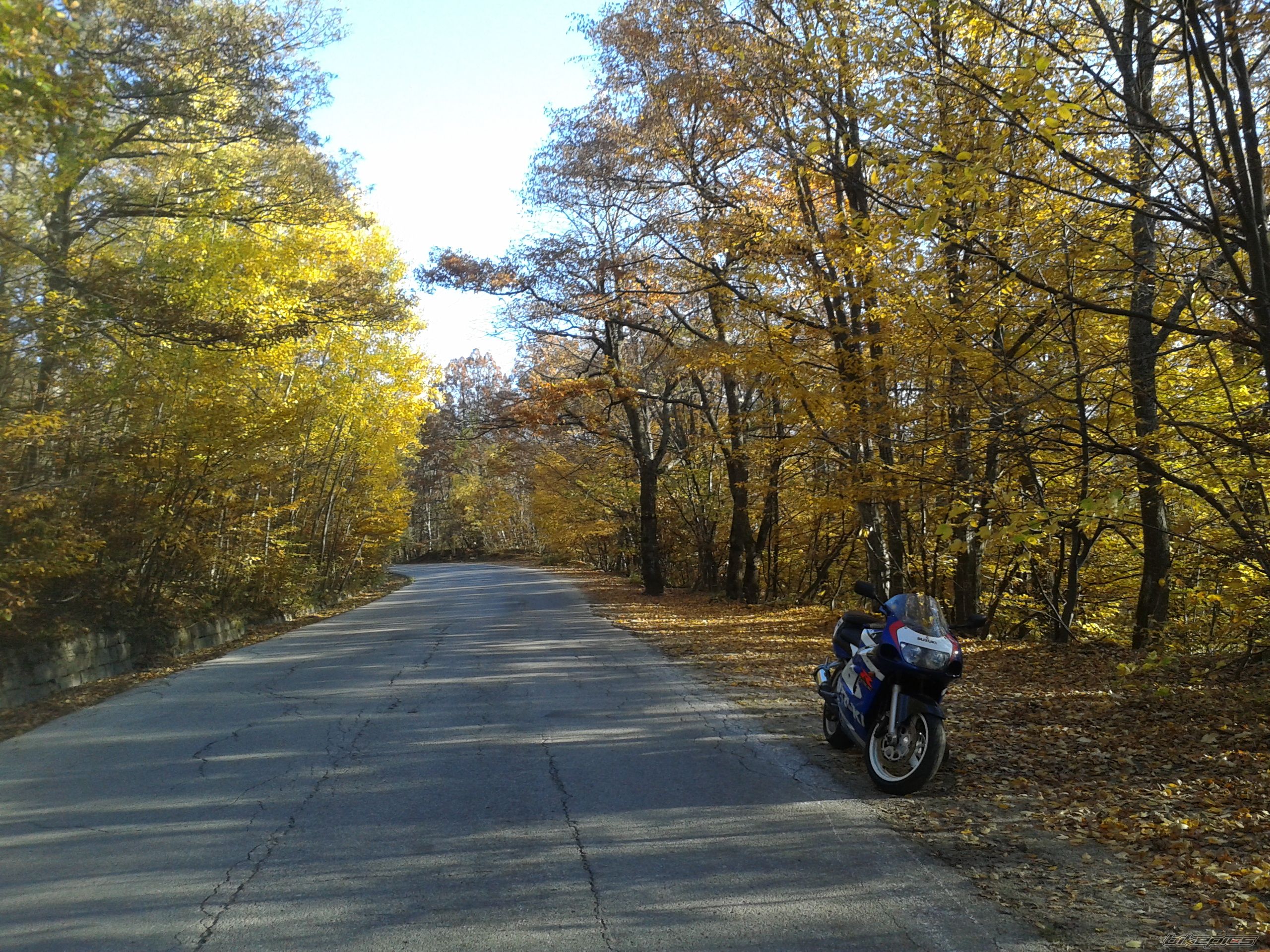 Bike Photo 2708891