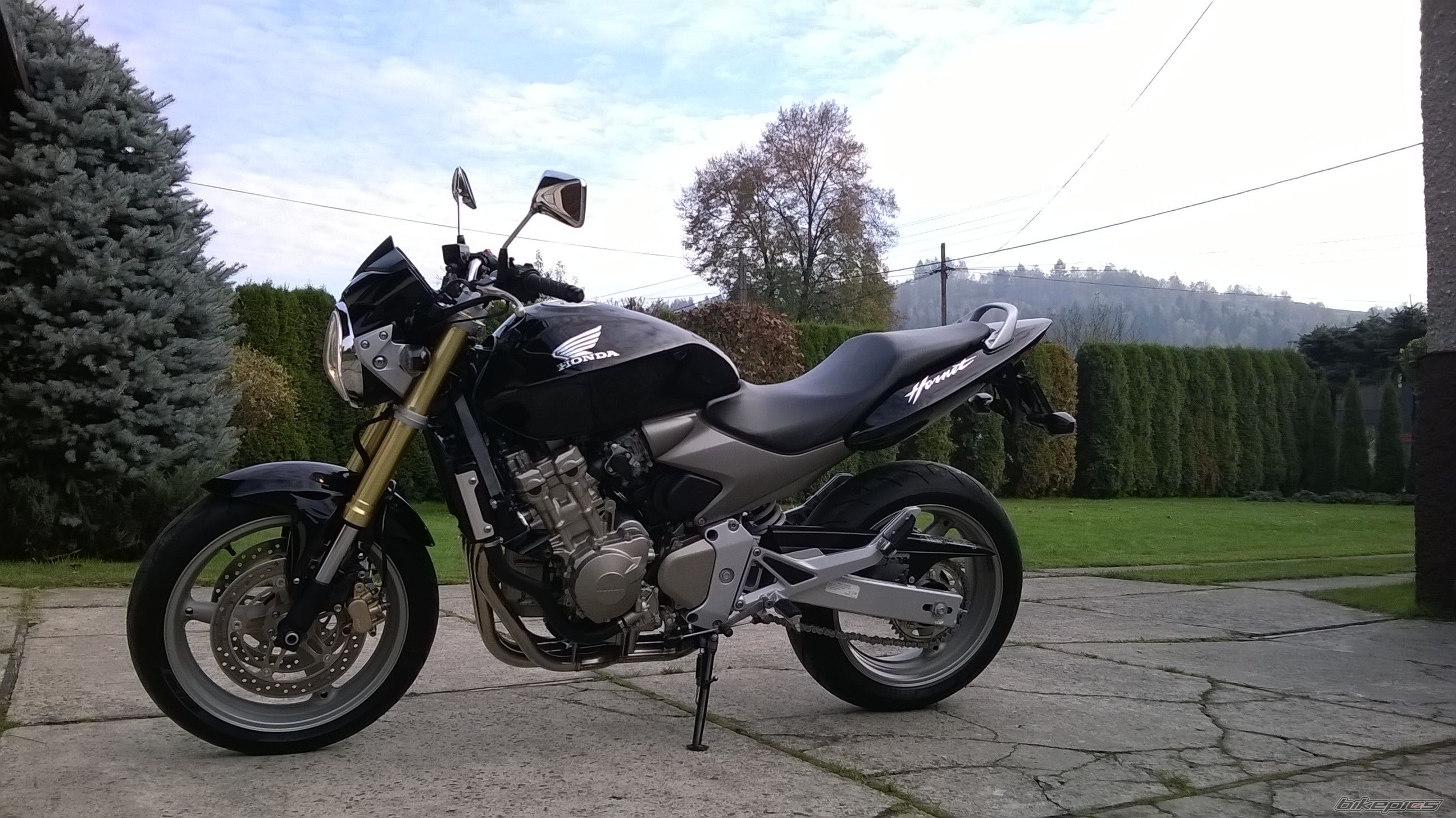 Photo 2708967