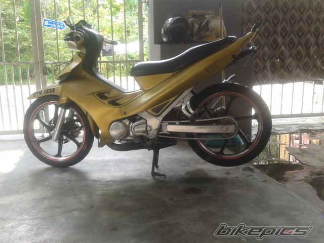 Photo 2709240