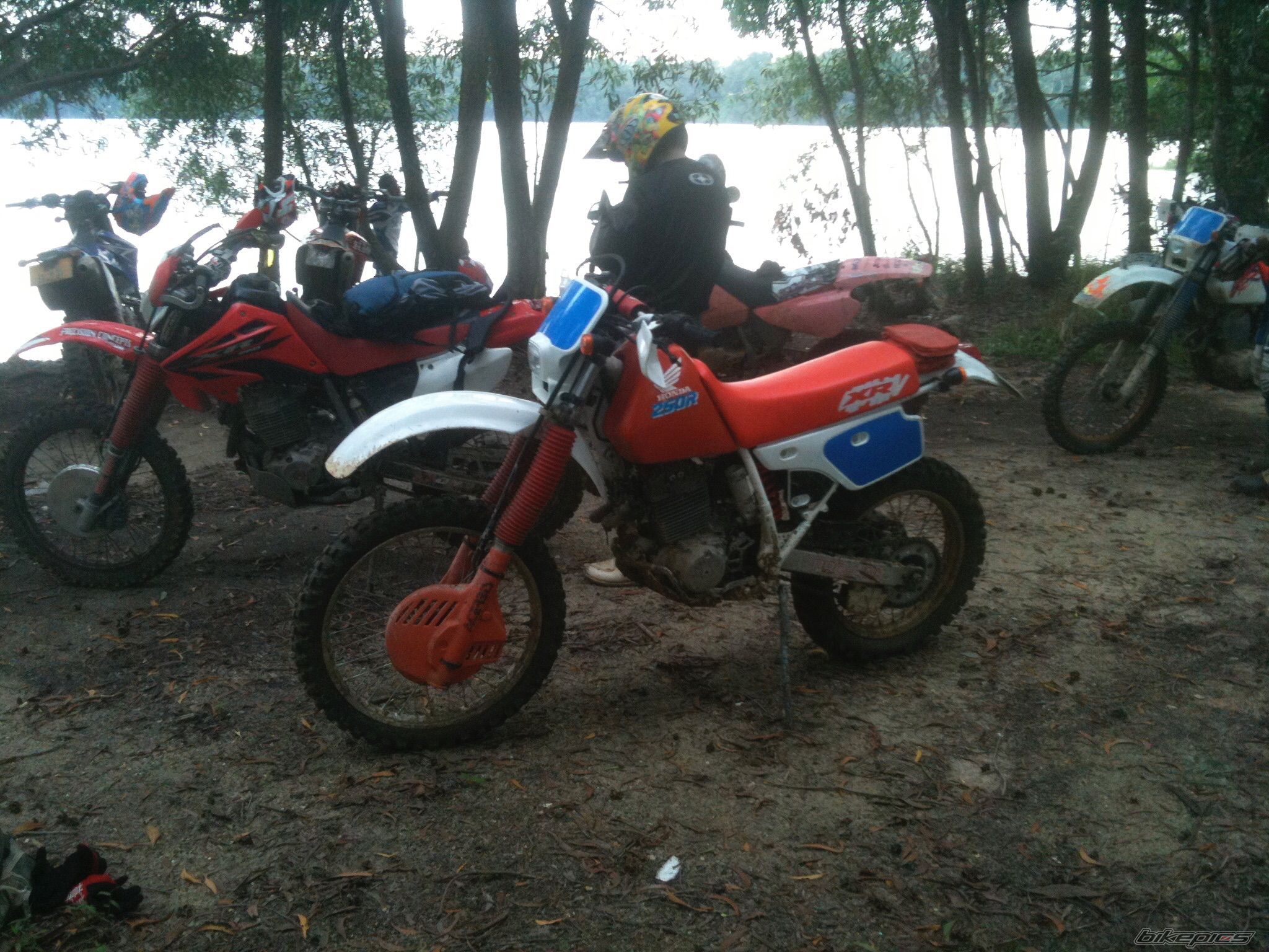 Photo 2709289