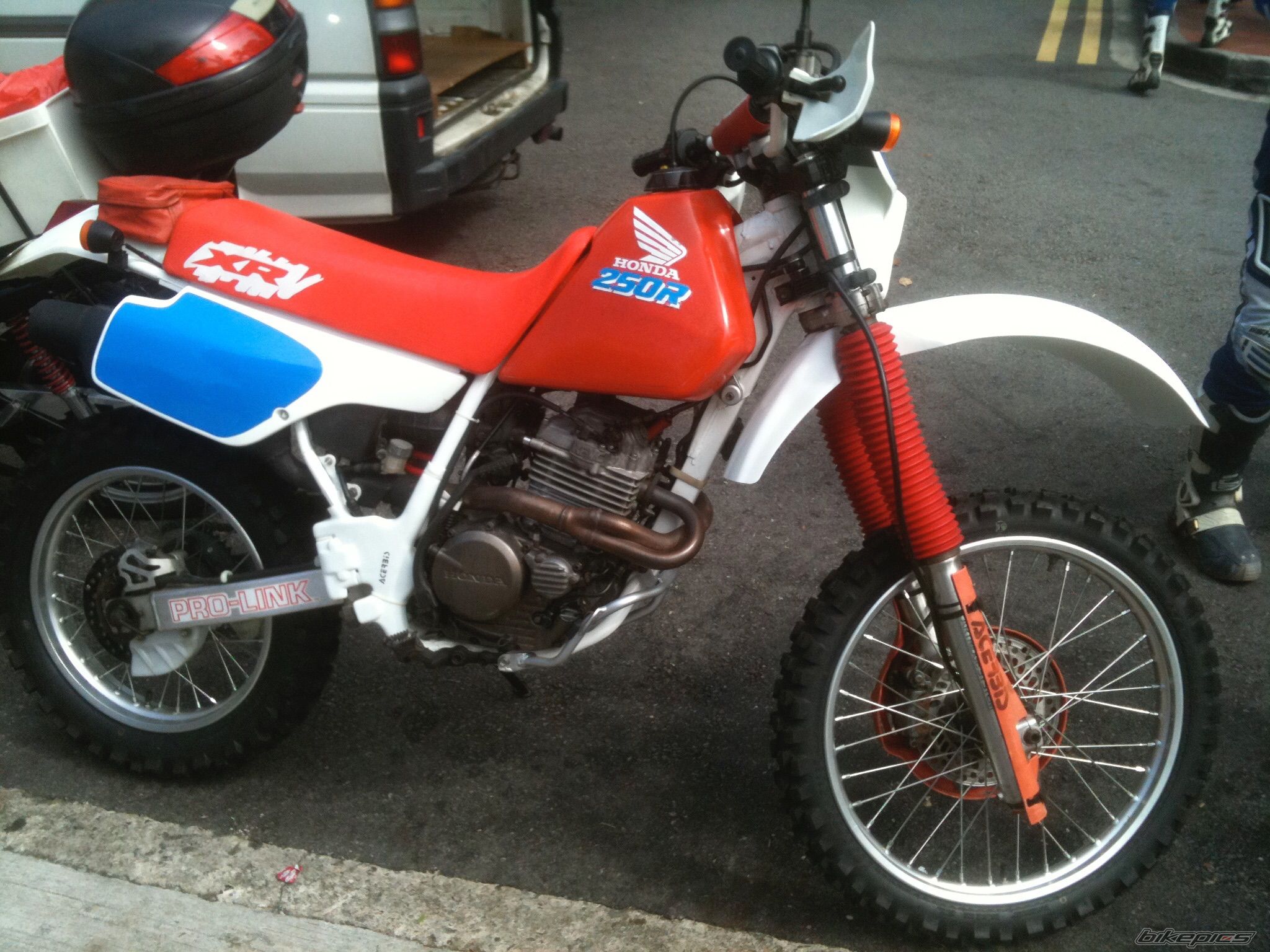 Photo 2709292