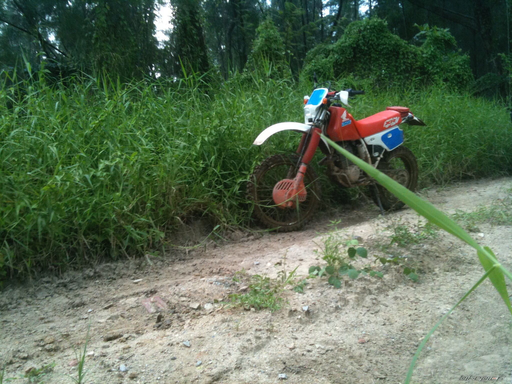 Photo 2709297