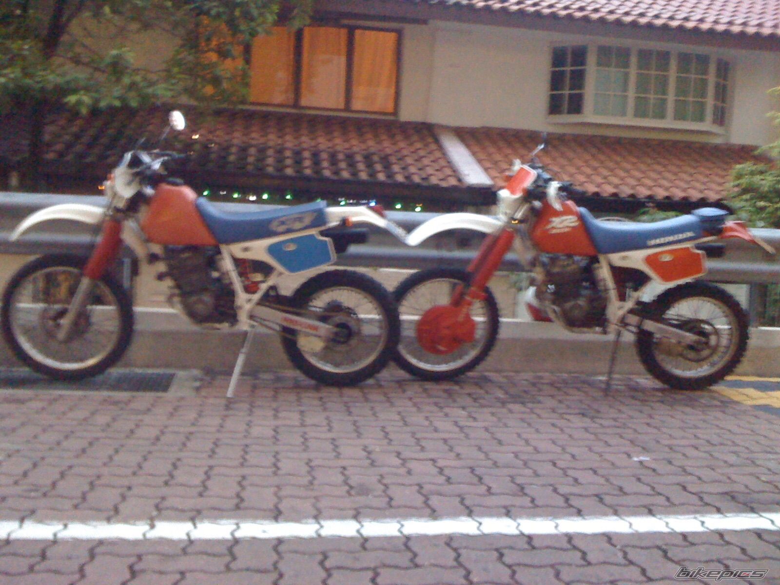 Bike Photo 2709299