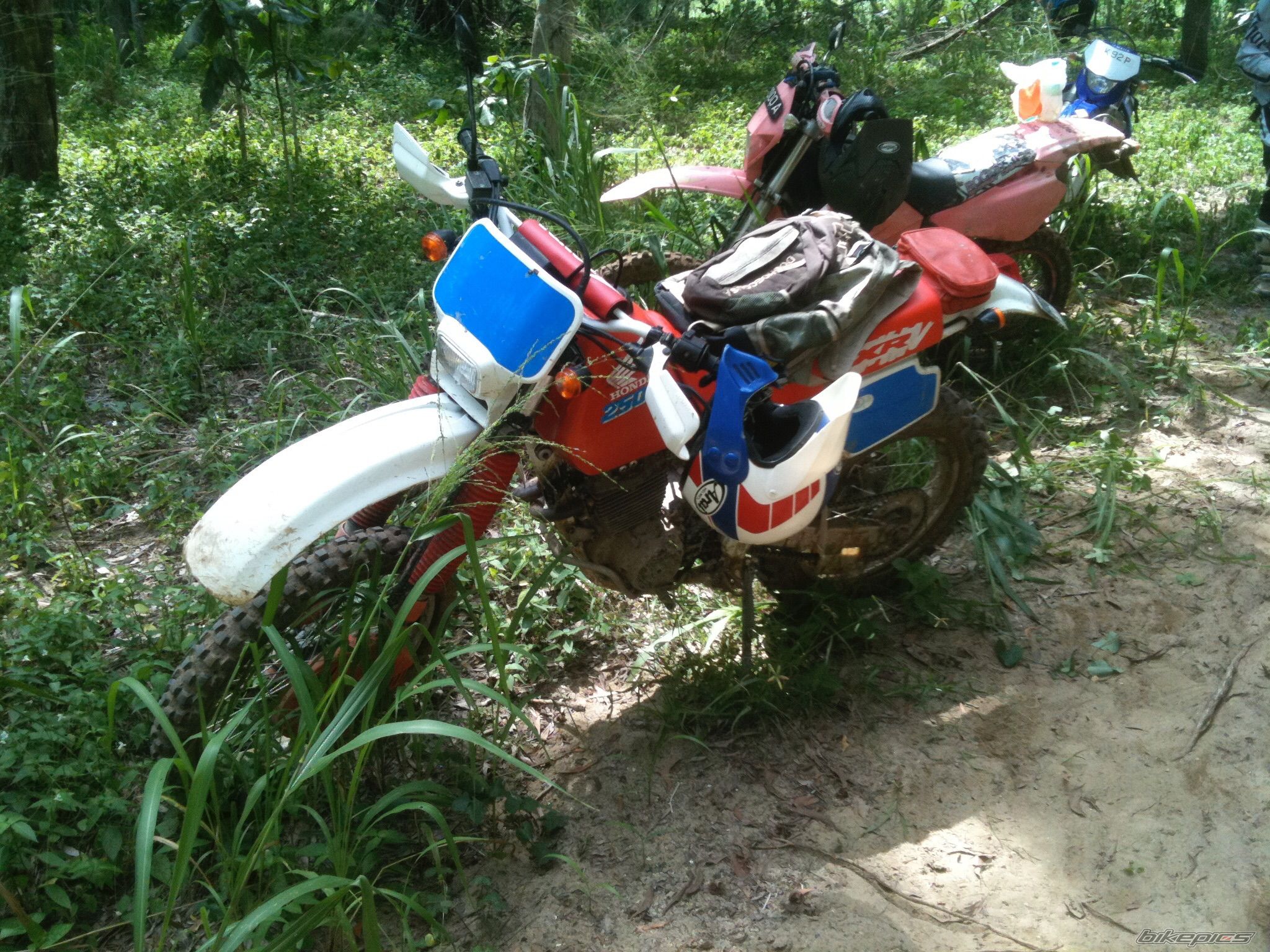 Bike Photo 2709304