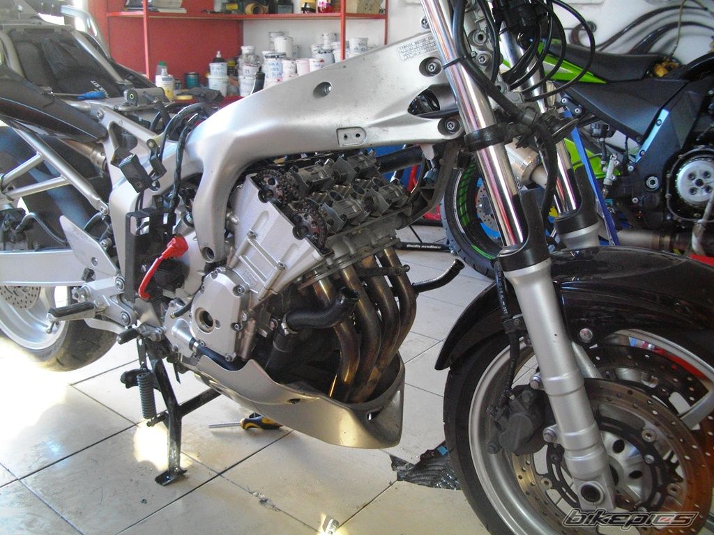 Photo 2709342