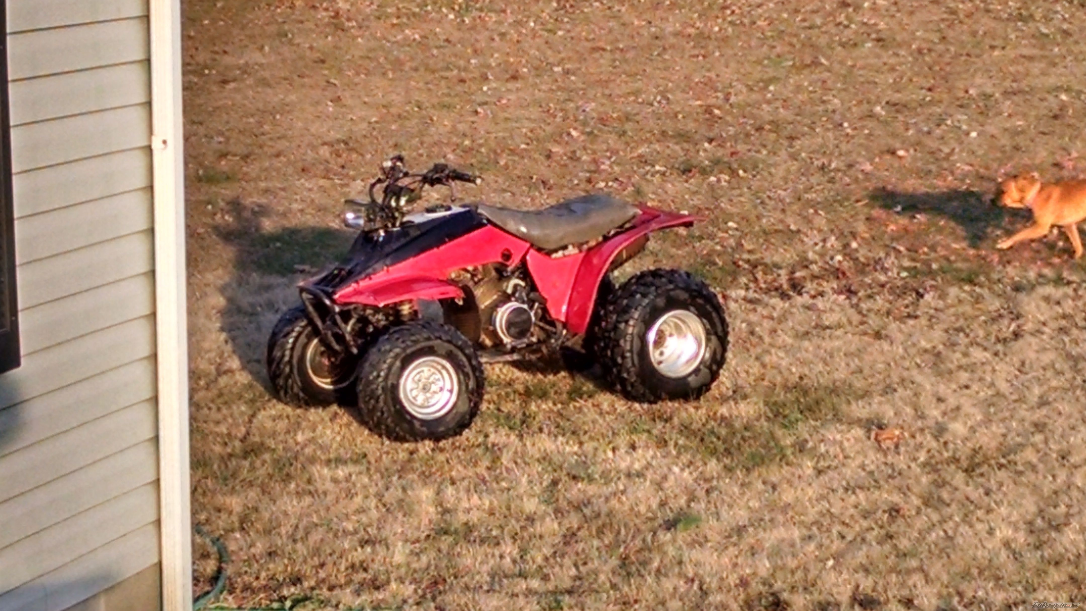 Bike Photo 2709551