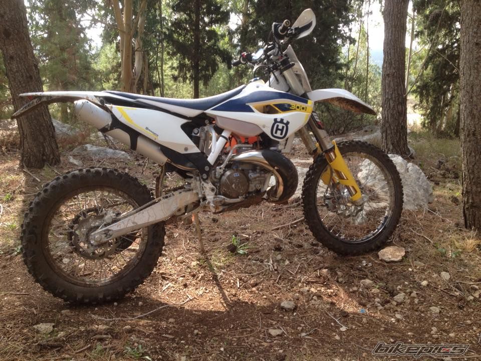 Photo 2709589