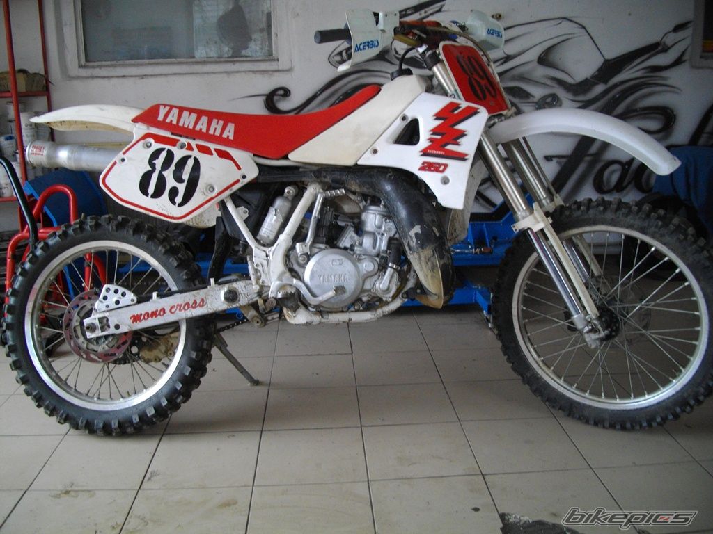 Photo 2709687
