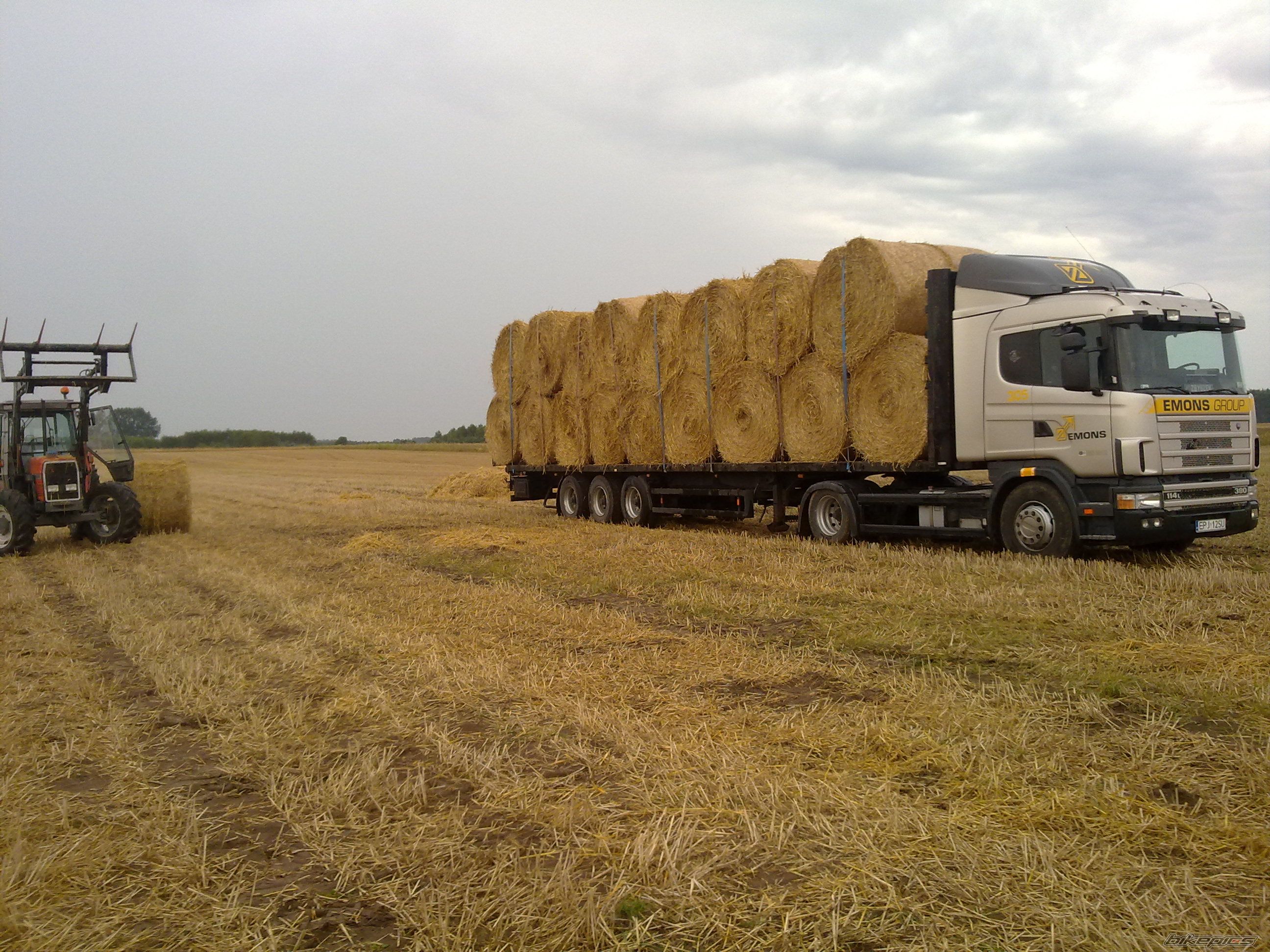 Photo 2709689