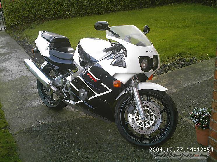 Photo 270971