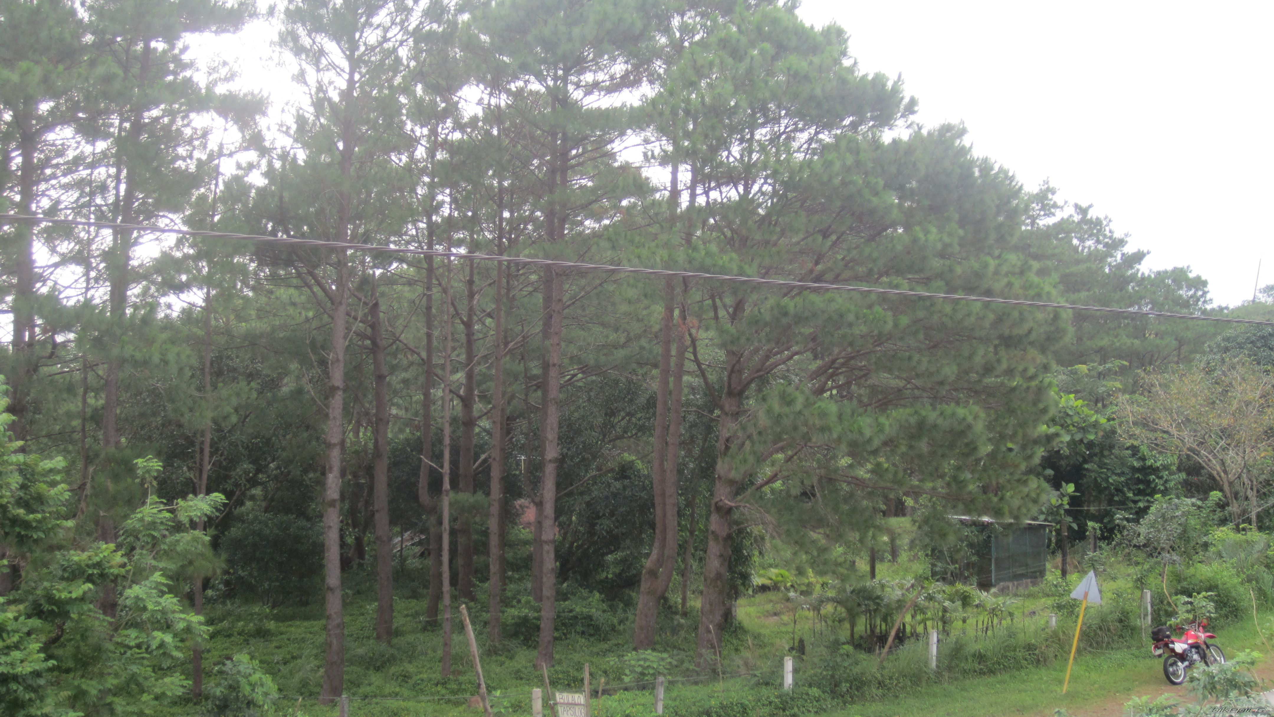 Photo 2709735