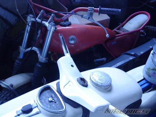 Photo 2709846