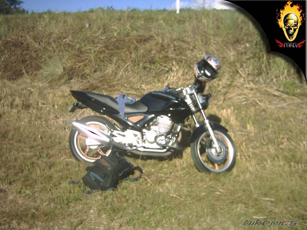Photo 270991