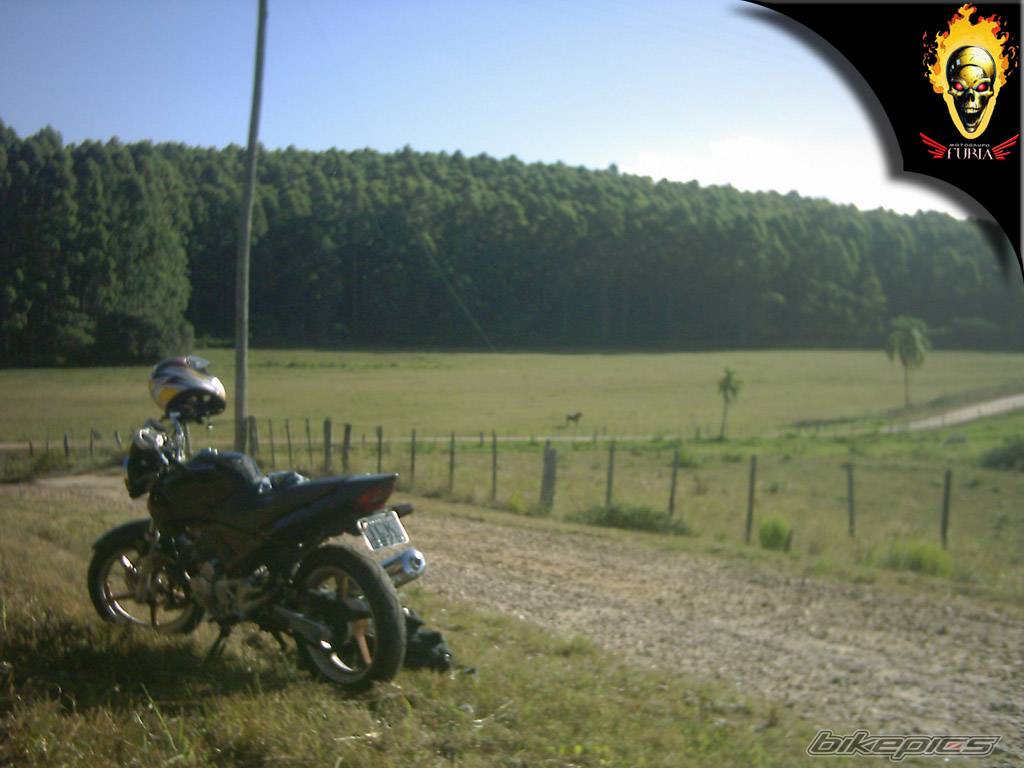 Photo 270992